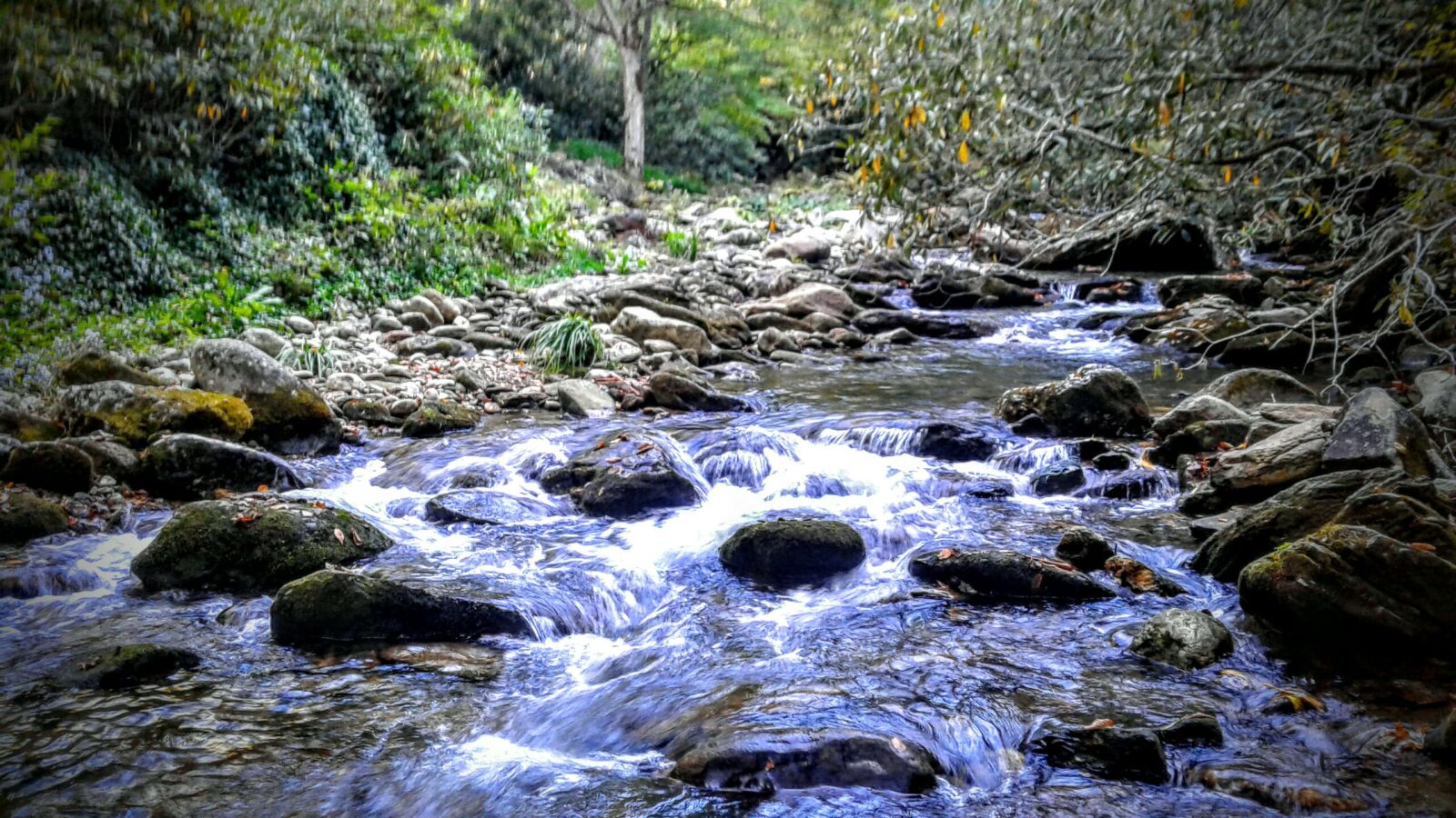 Samsung Galaxy J3(2016) sample photo. Edited, nature, river photography