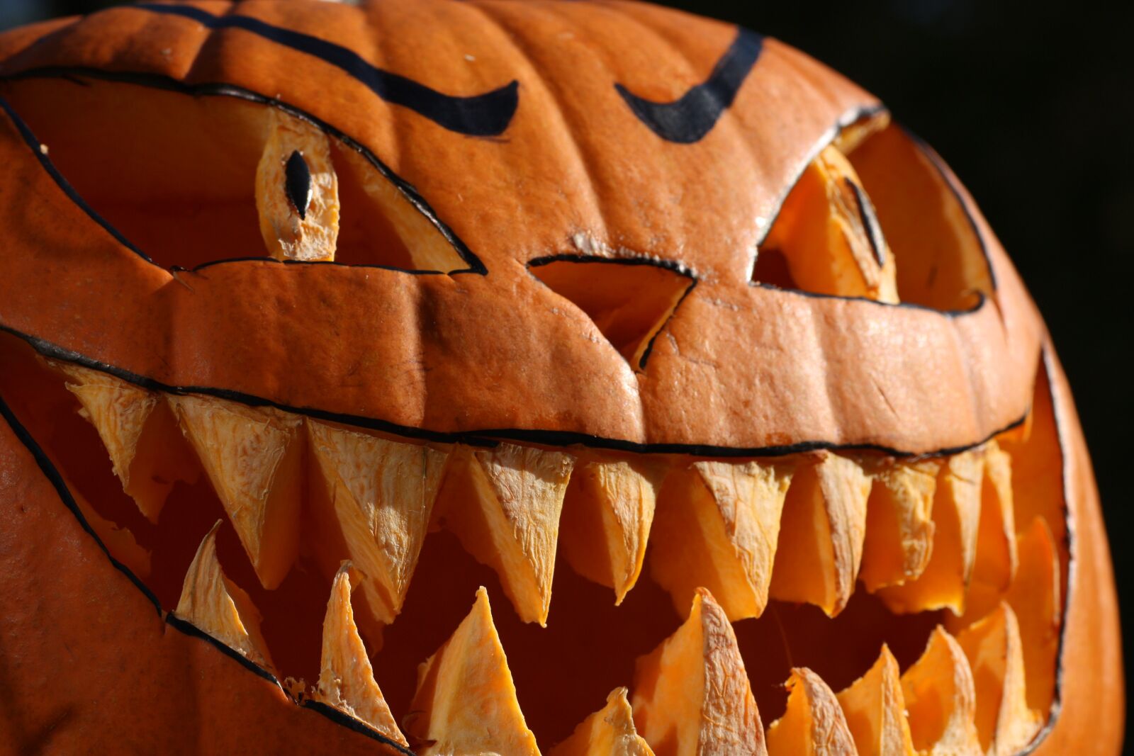 Canon EOS 450D (EOS Rebel XSi / EOS Kiss X2) sample photo. Pumpkin, halloween, autumn photography