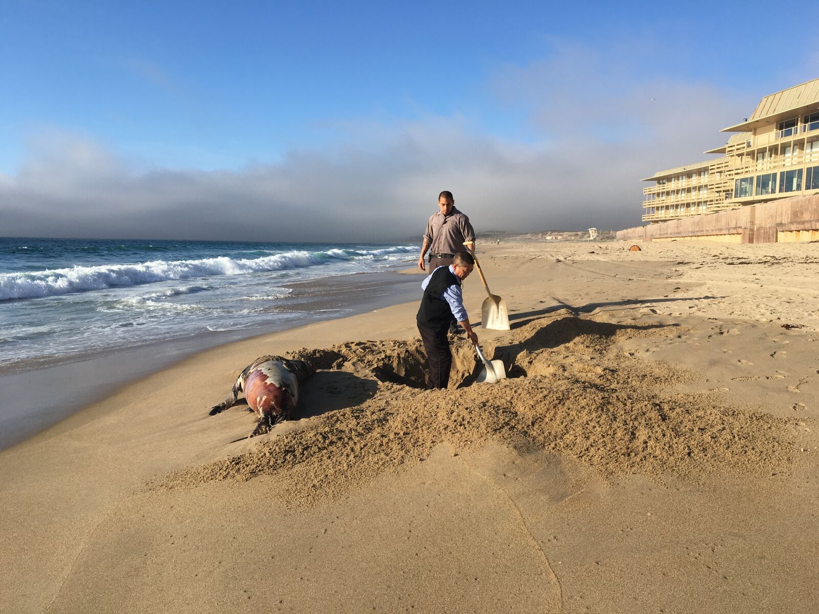 iPhone 6s back camera 4.15mm f/2.2 sample photo. Burial, monterey, ocean photography