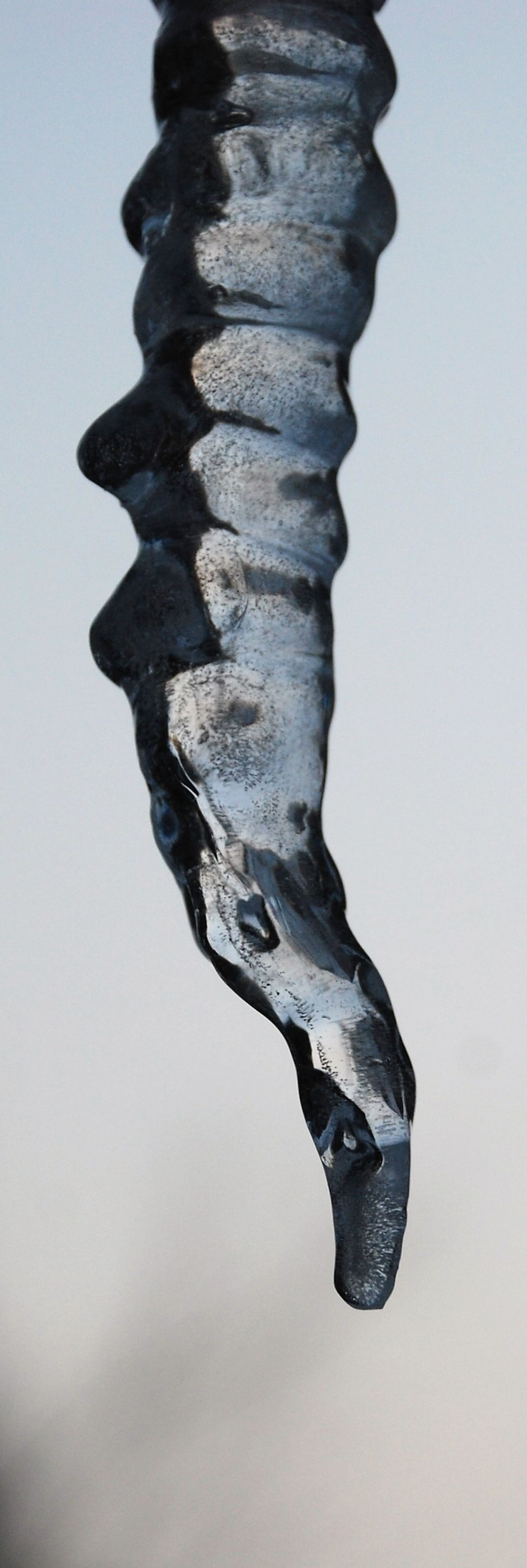 Nikon D80 sample photo. Ice, snow, frozen photography