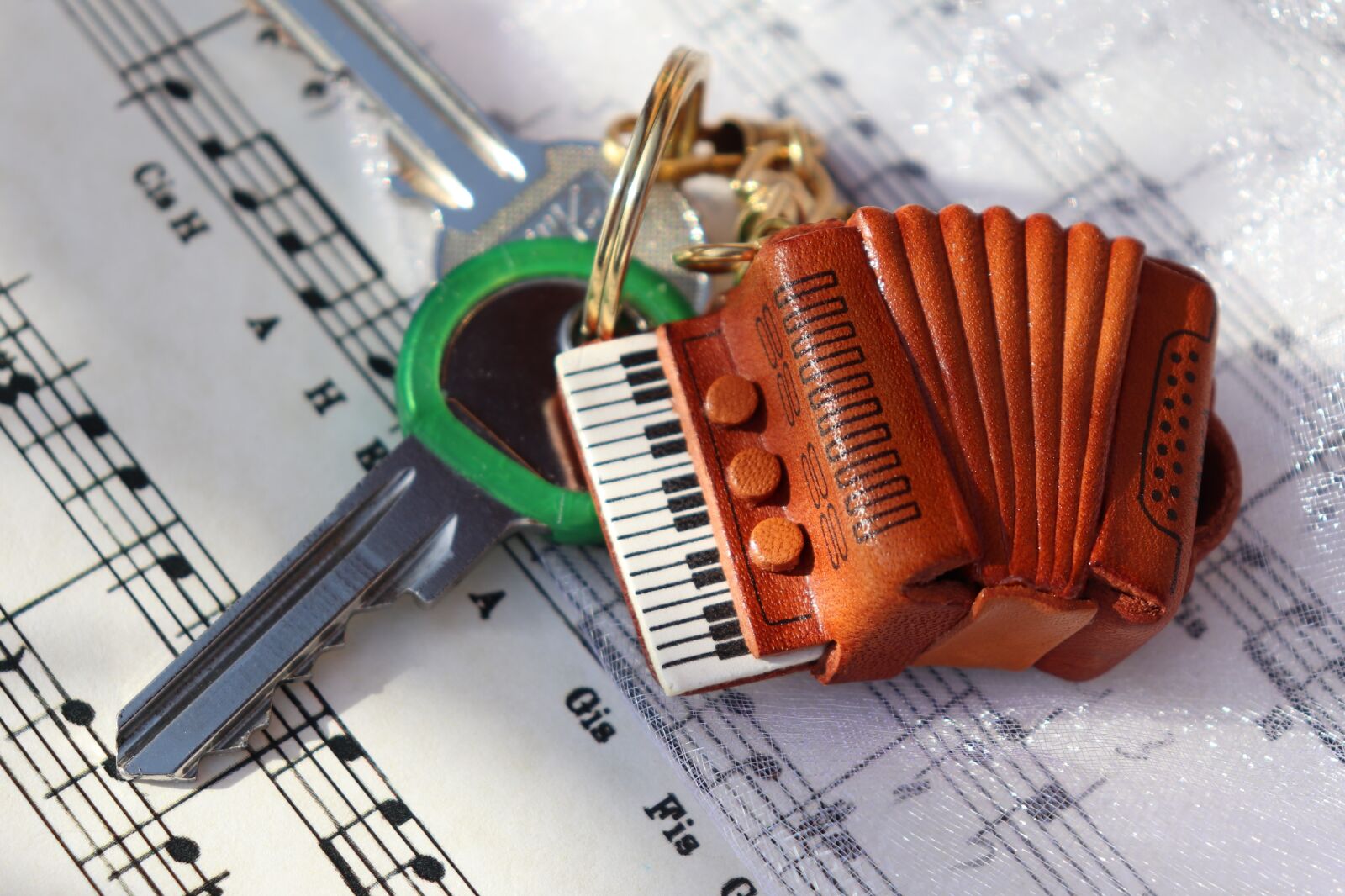 Canon EOS 800D (EOS Rebel T7i / EOS Kiss X9i) sample photo. Key holder, accordion, keys photography