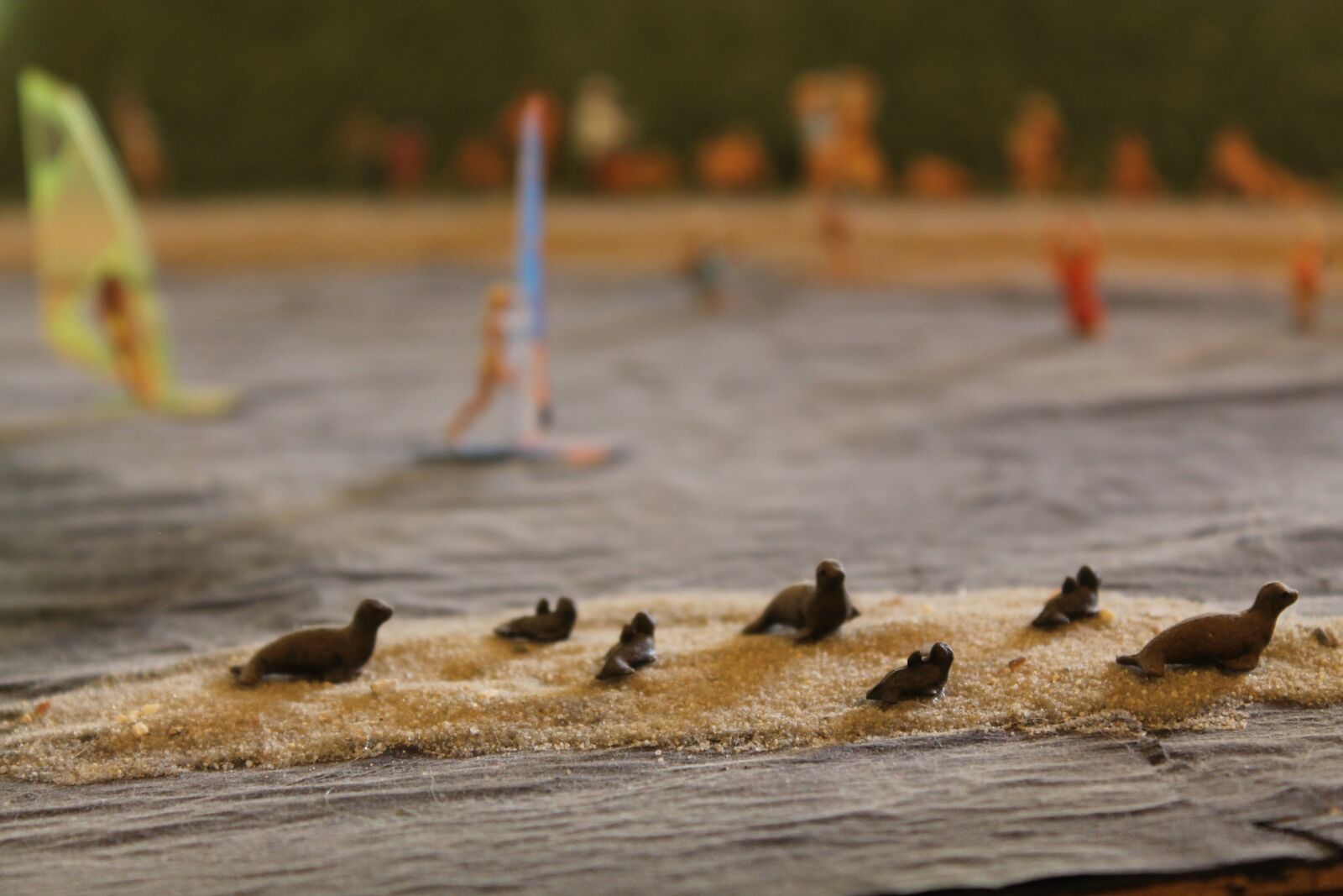 Canon EOS 1100D (EOS Rebel T3 / EOS Kiss X50) sample photo. Miniature, seals, sea photography