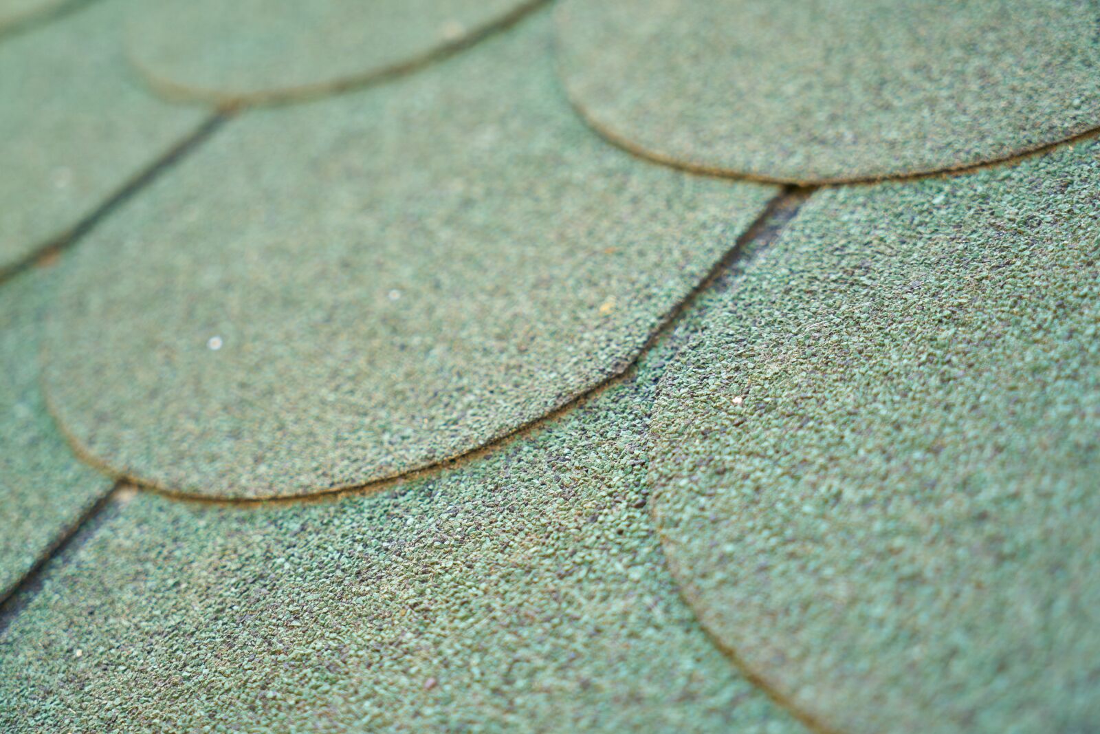 Sony a7R II sample photo. Roof, green, wet photography