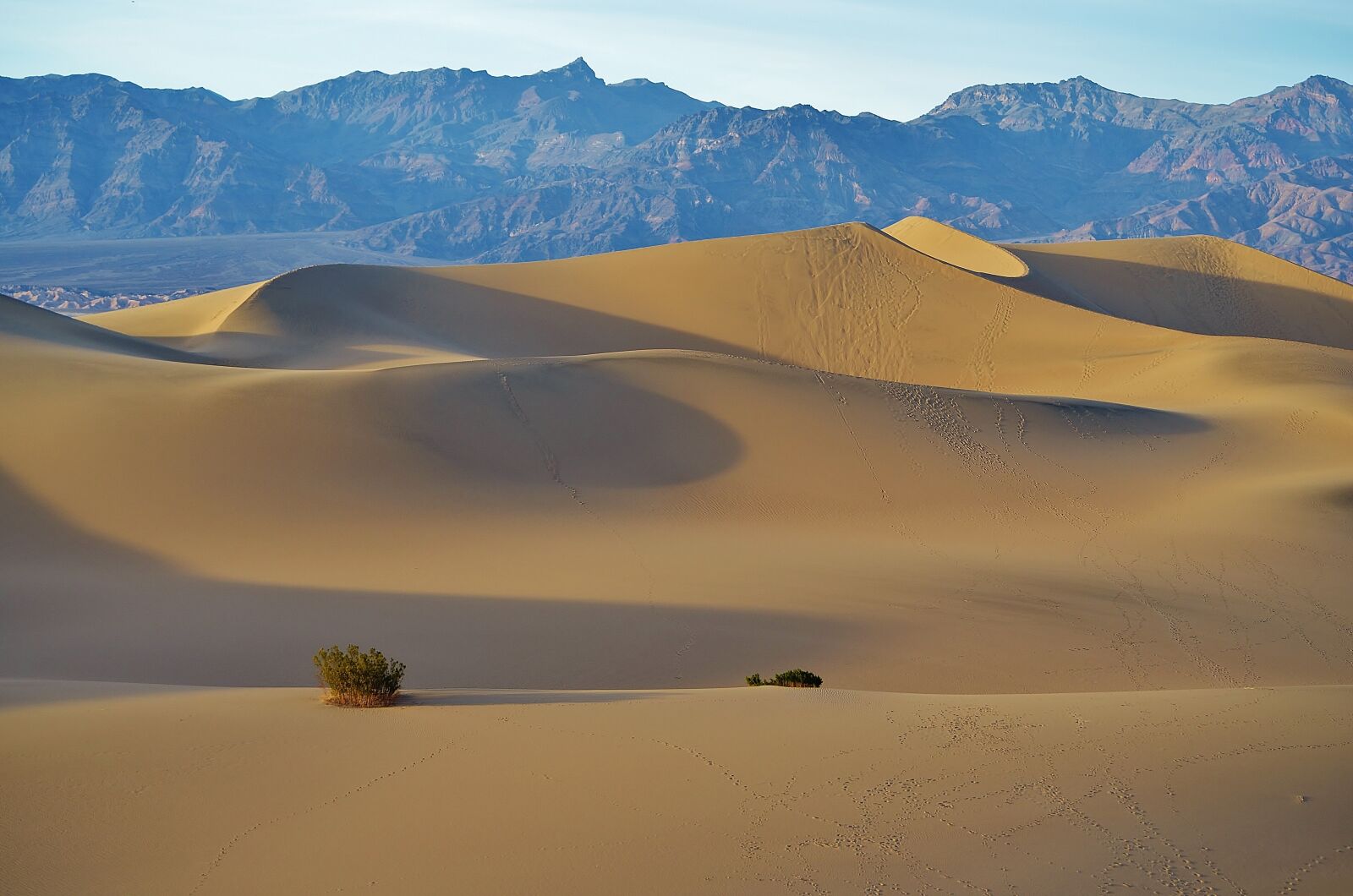 Nikon D5100 sample photo. Mesquite flats, sand dunes photography