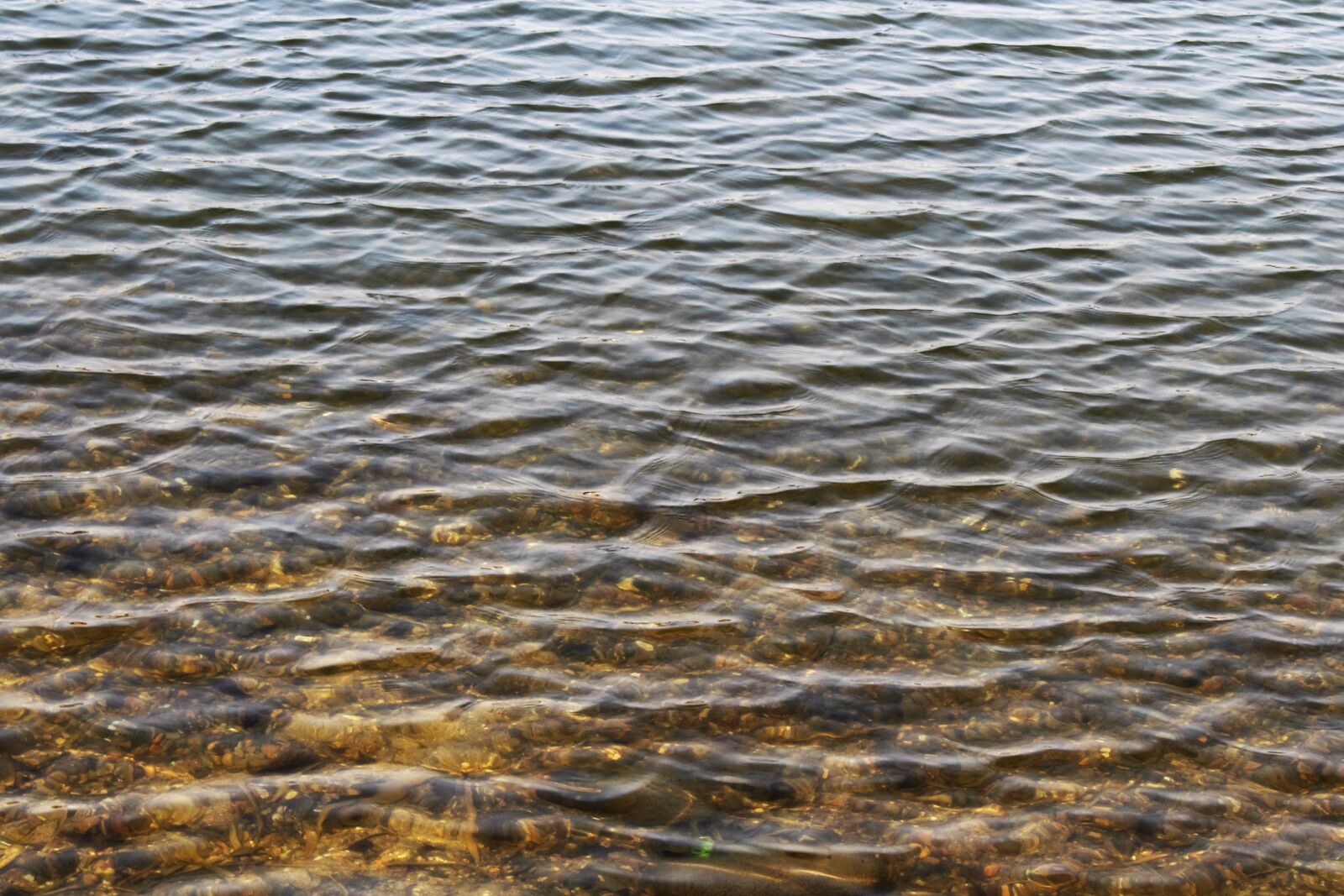Canon EOS 700D (EOS Rebel T5i / EOS Kiss X7i) sample photo. Water, spring, lake photography