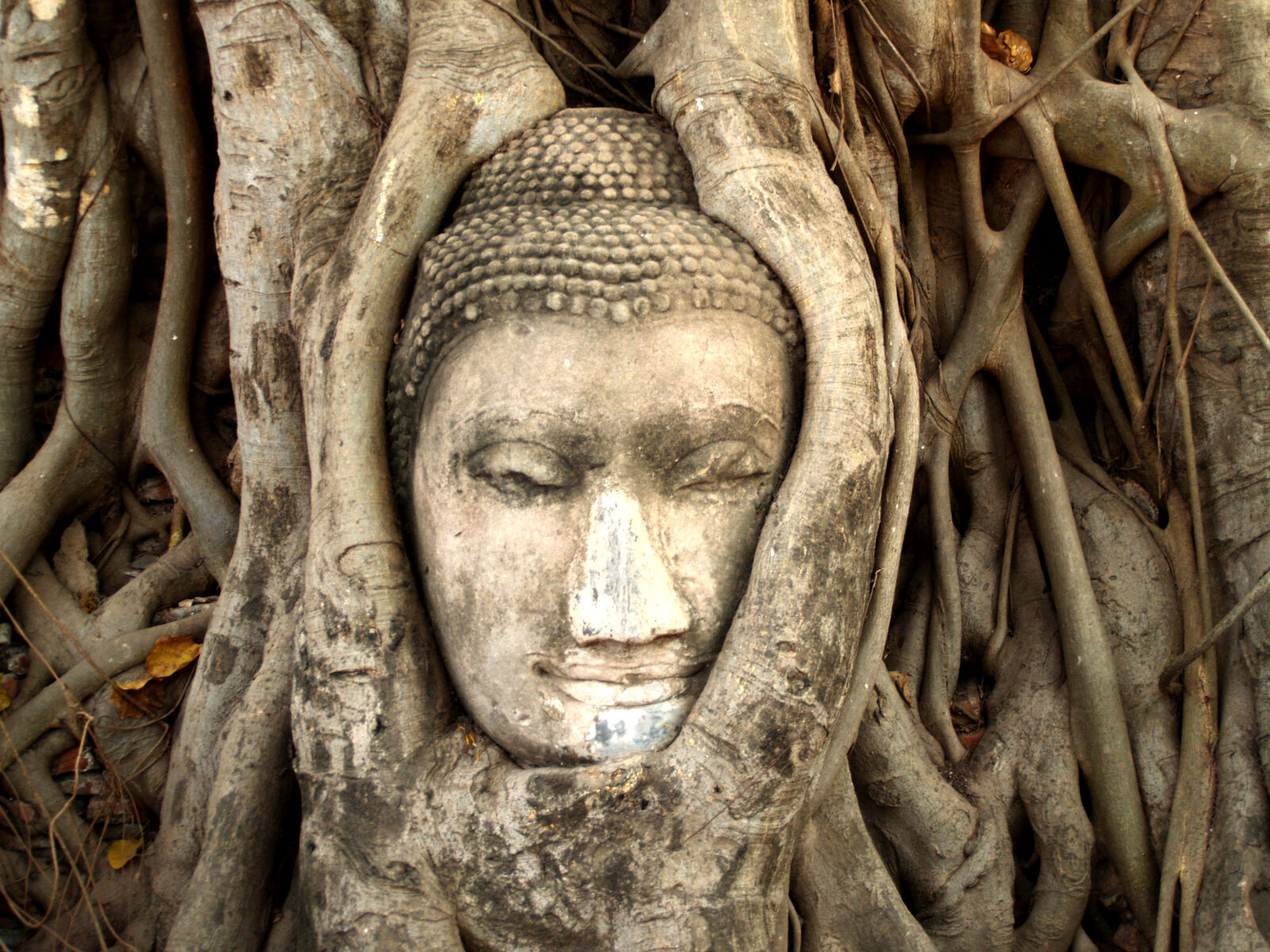 Olympus E-300 (EVOLT E-300) sample photo. Ancient, architecture, art, asia photography