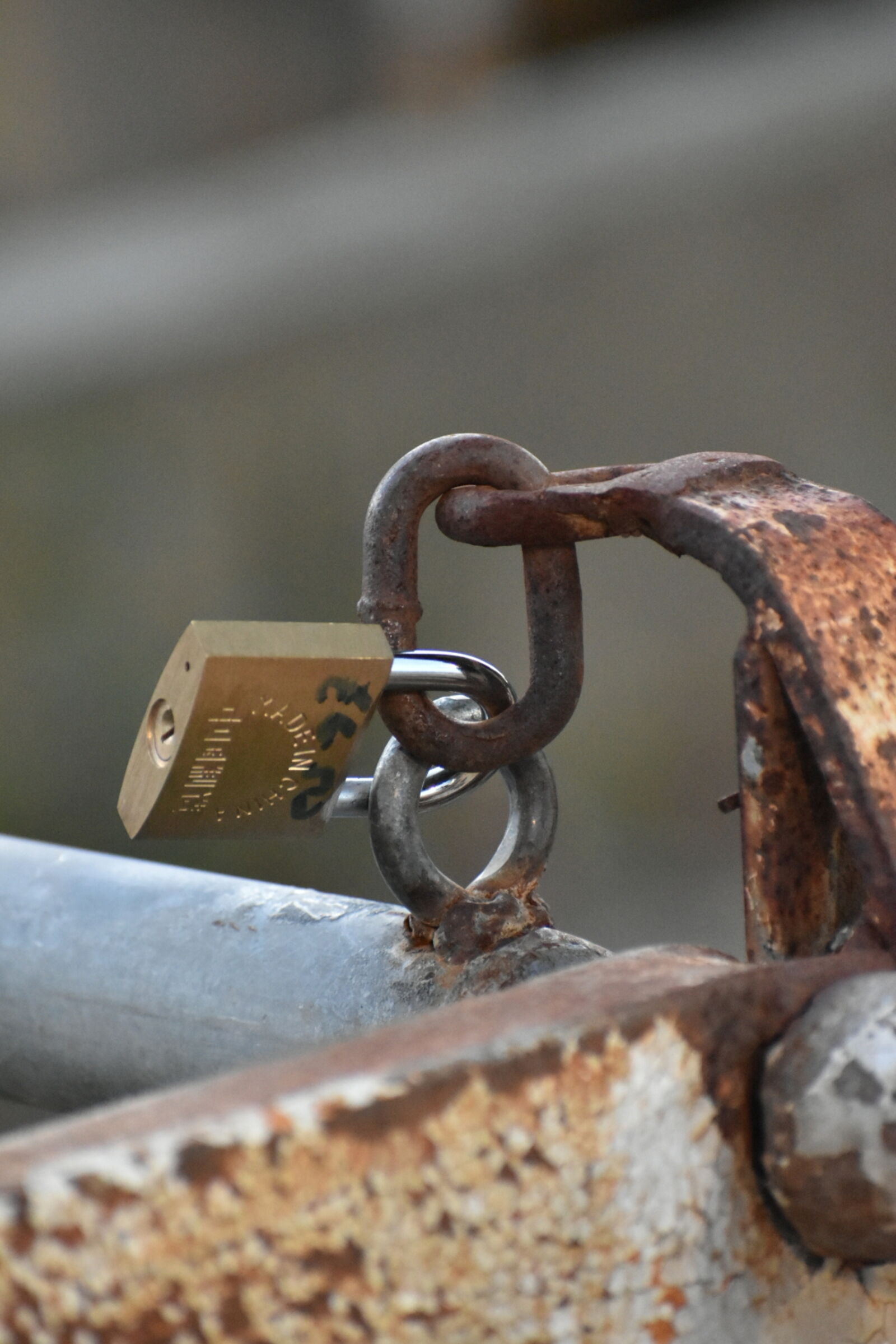 Nikon D5600 sample photo