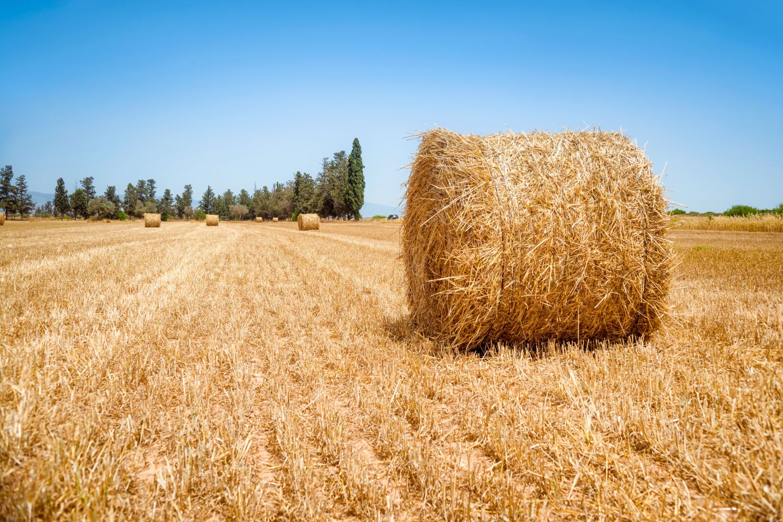 Nikon D800 sample photo. Bale, blue sky, blue photography