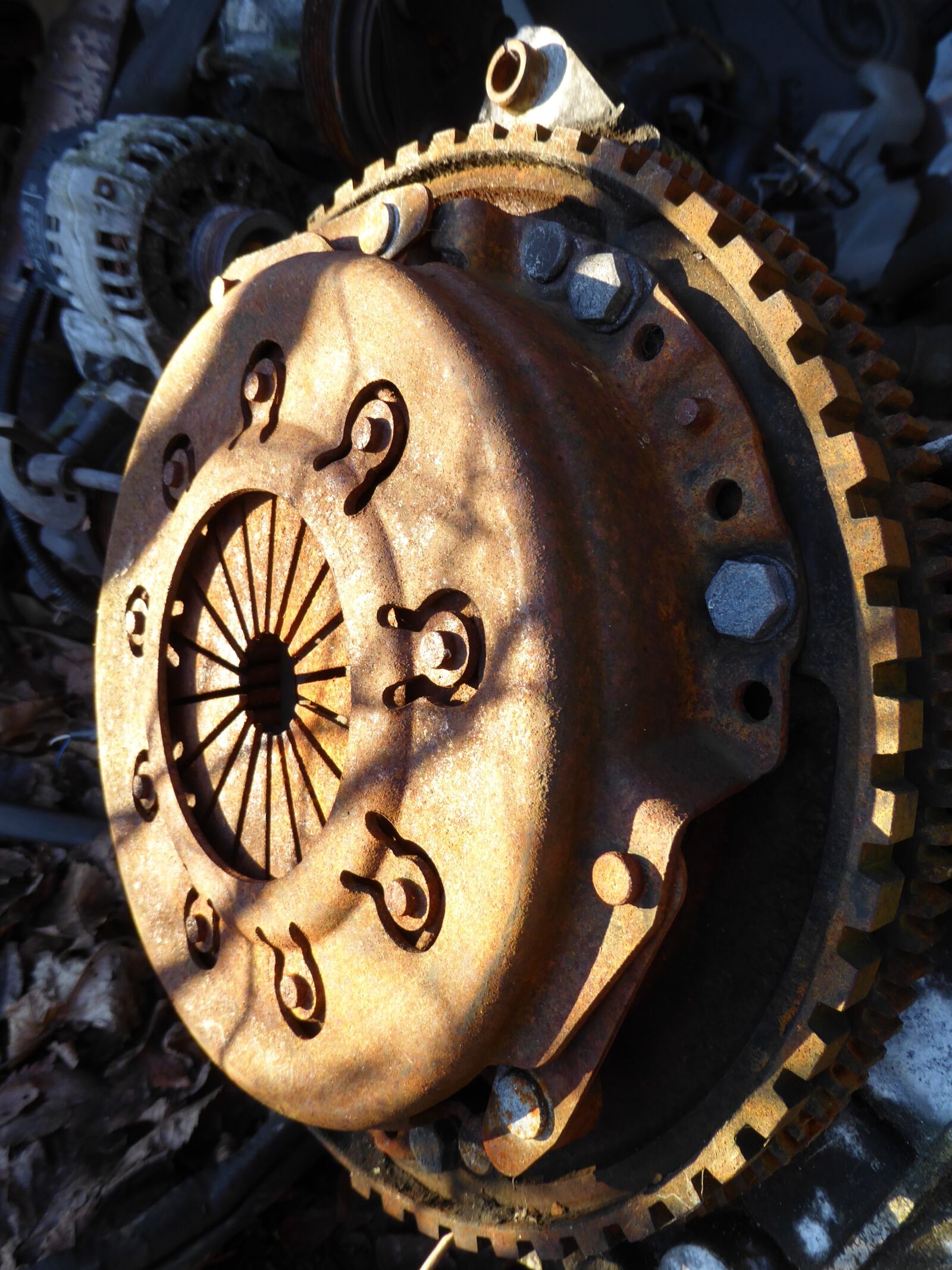 Panasonic Lumix DMC-ZS50 (Lumix DMC-TZ70) sample photo. Metal, rust, hubcap photography