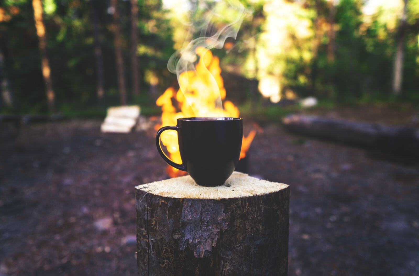 Sigma 16mm F1.4 DC DN | C sample photo. Coffee, outdoors, mug photography