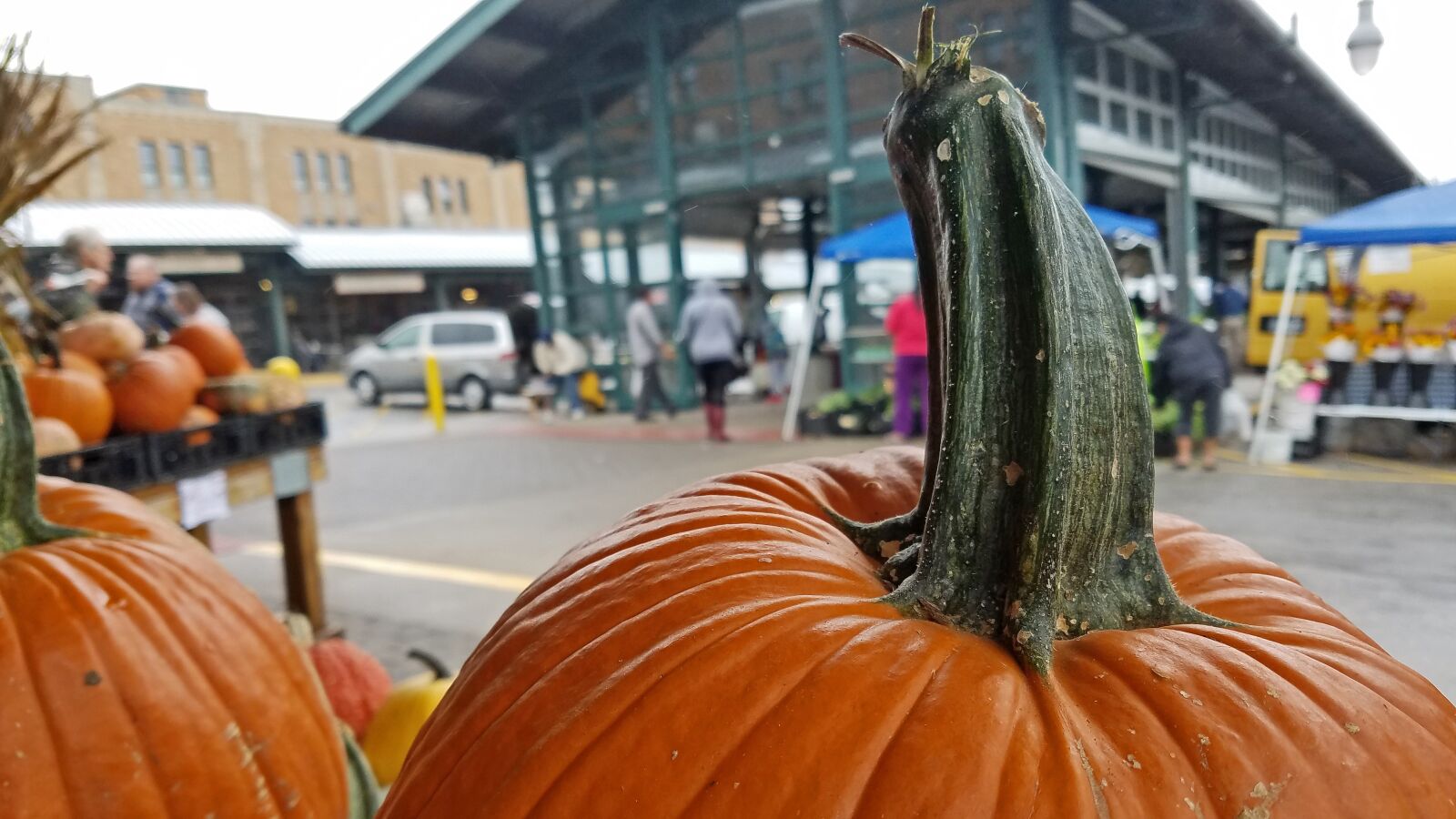 Samsung Galaxy S7 sample photo. Fall, pumpkins, gourds photography