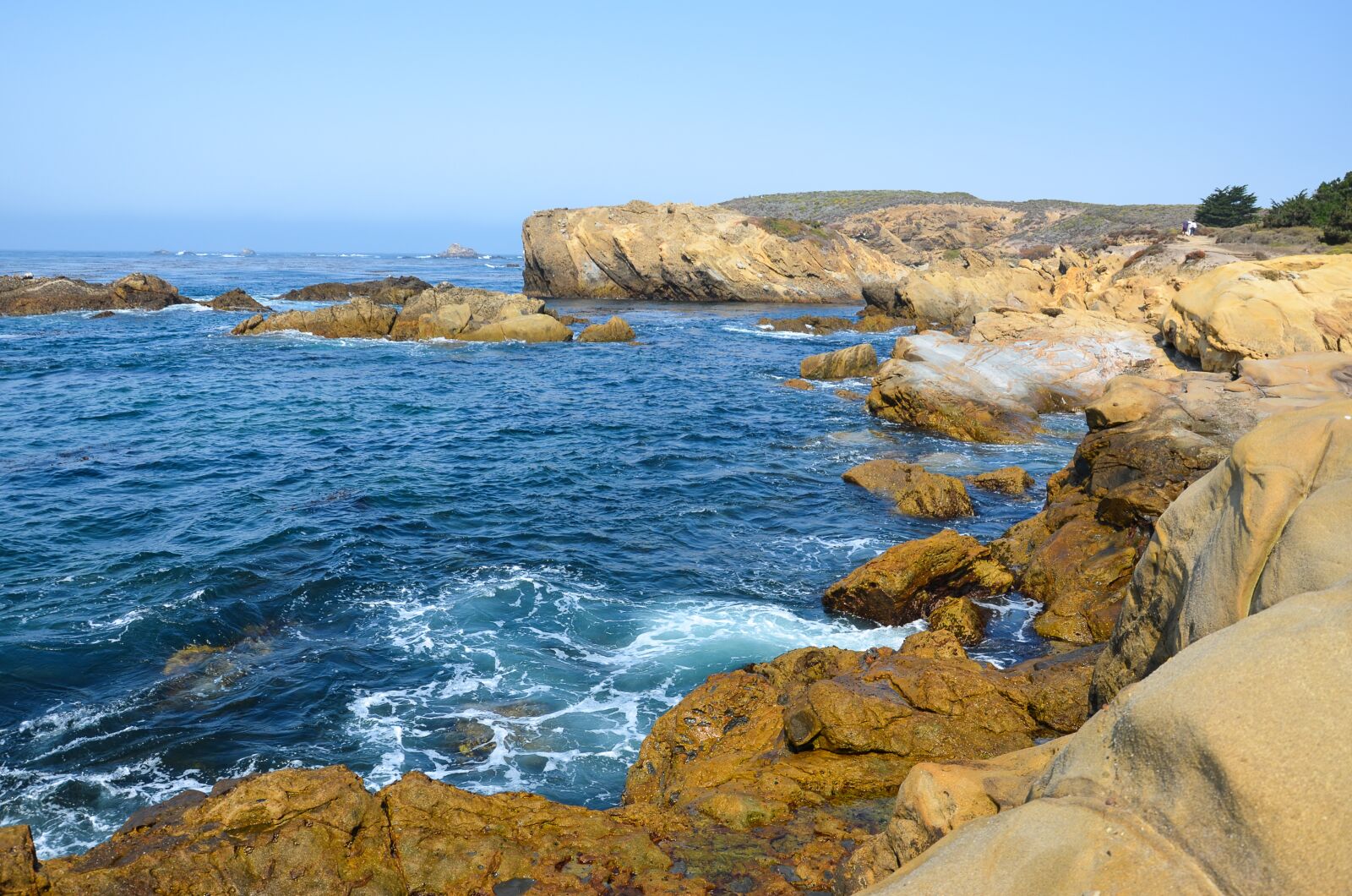 Nikon D5100 sample photo. Usa, america, coast photography