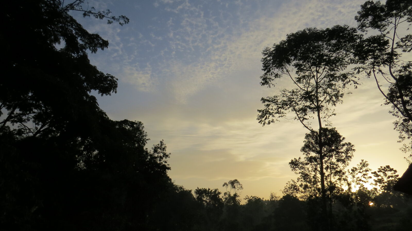 Canon PowerShot SX50 HS sample photo. Africa, kibale, kibale, forest photography