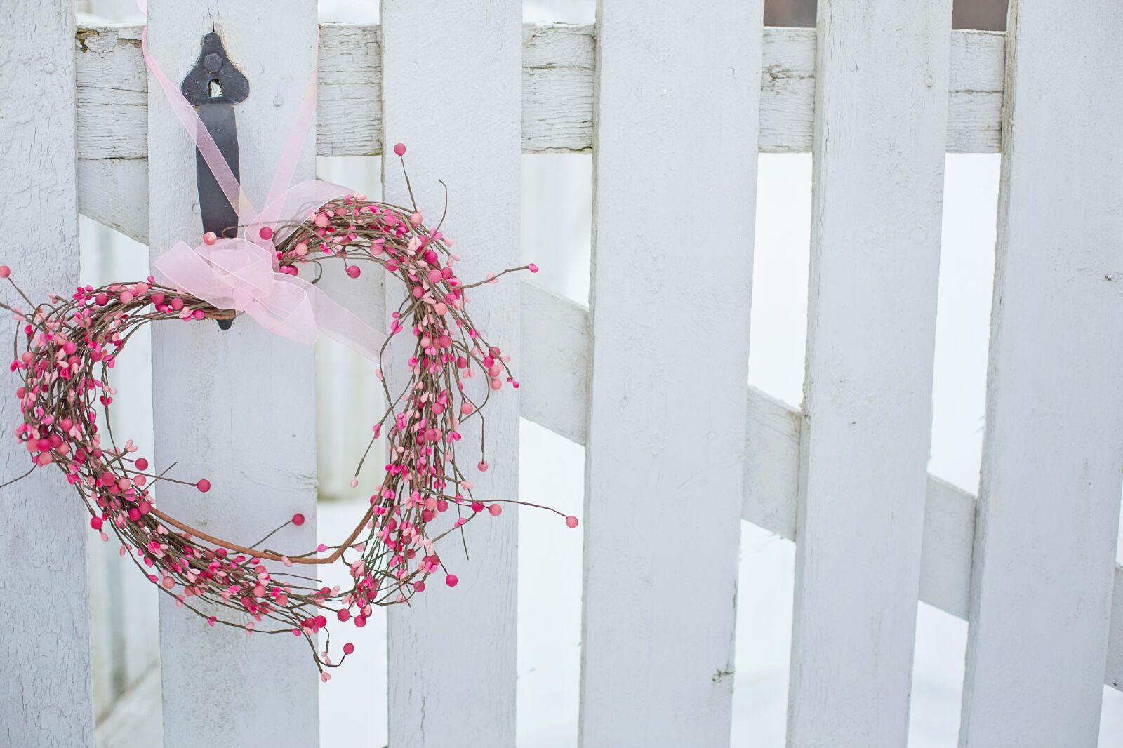 Canon EF 50mm F1.4 USM sample photo. Valentine's day, valentine, heart photography