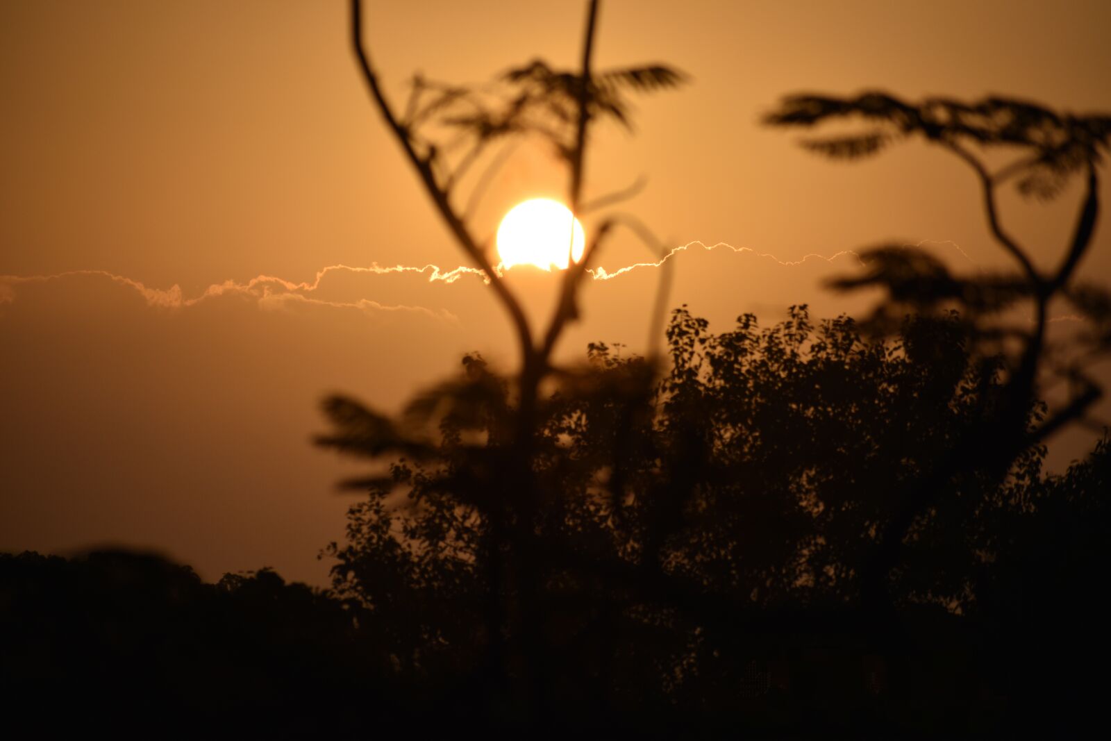 Nikon D3500 sample photo. Morning sun, orange colour photography