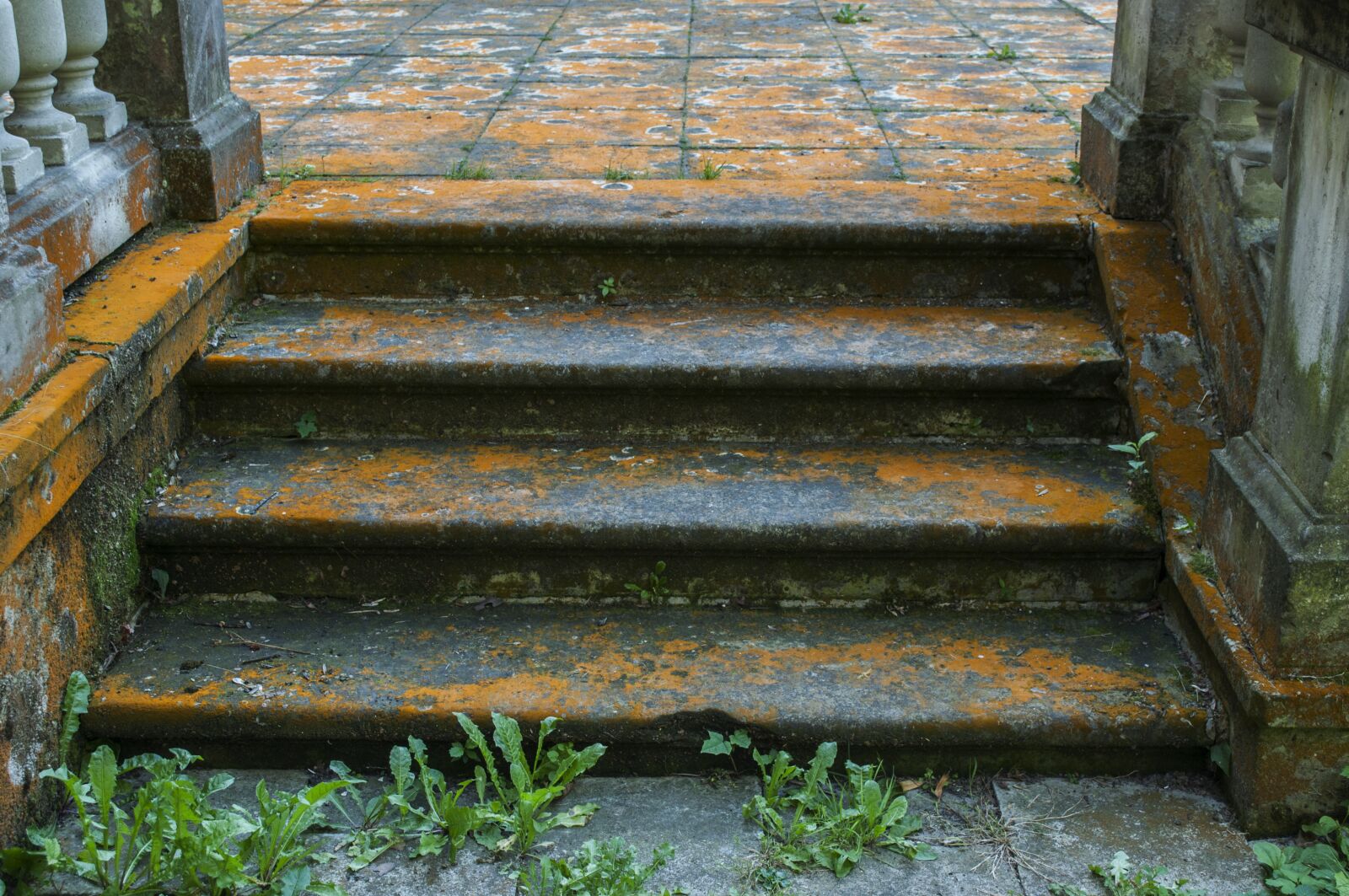 Nikon D5000 sample photo. Building, stairs, architecture photography