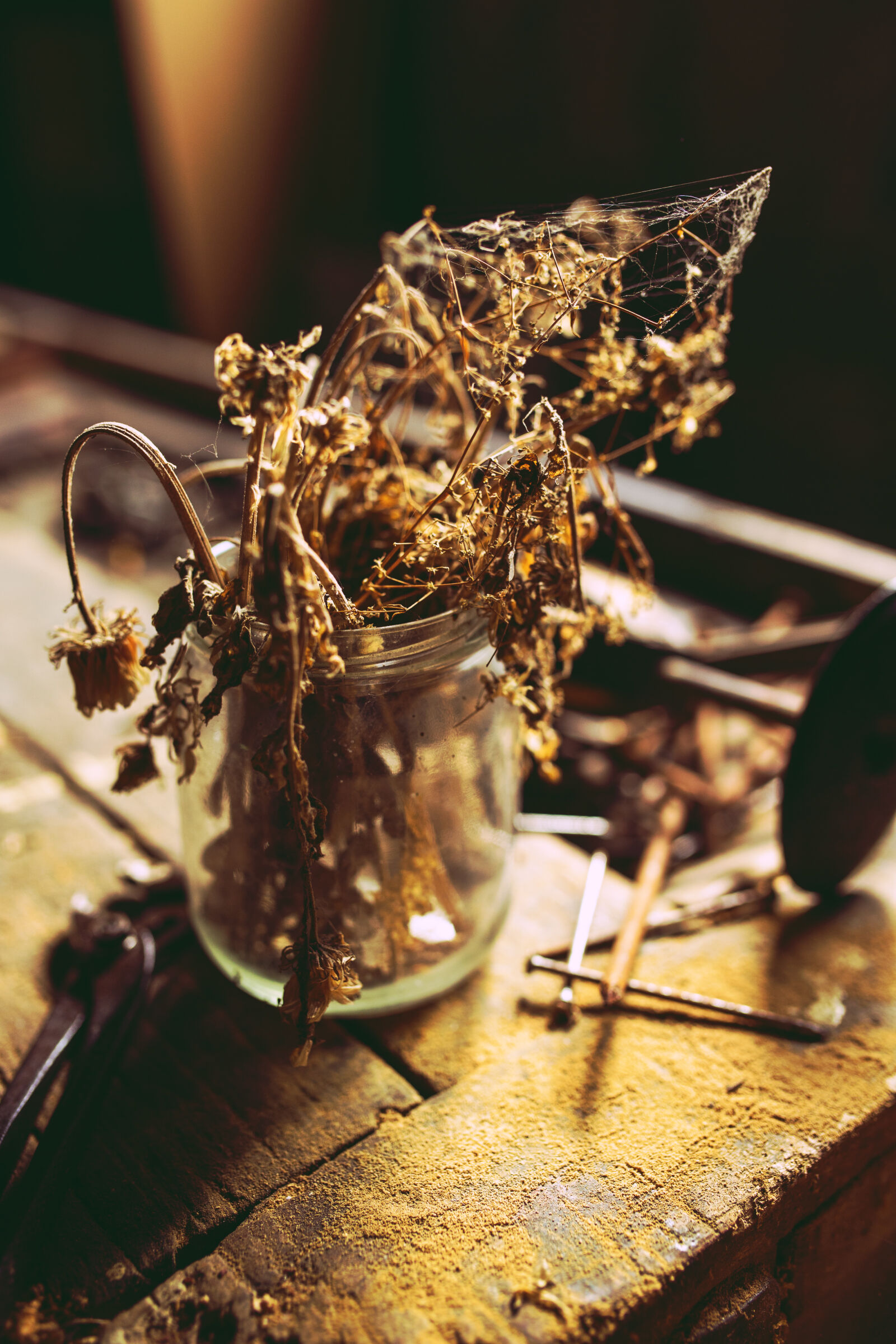 Canon EOS 6D + Sigma 35mm F1.4 DG HSM Art sample photo. Withered, flowers, in, the photography