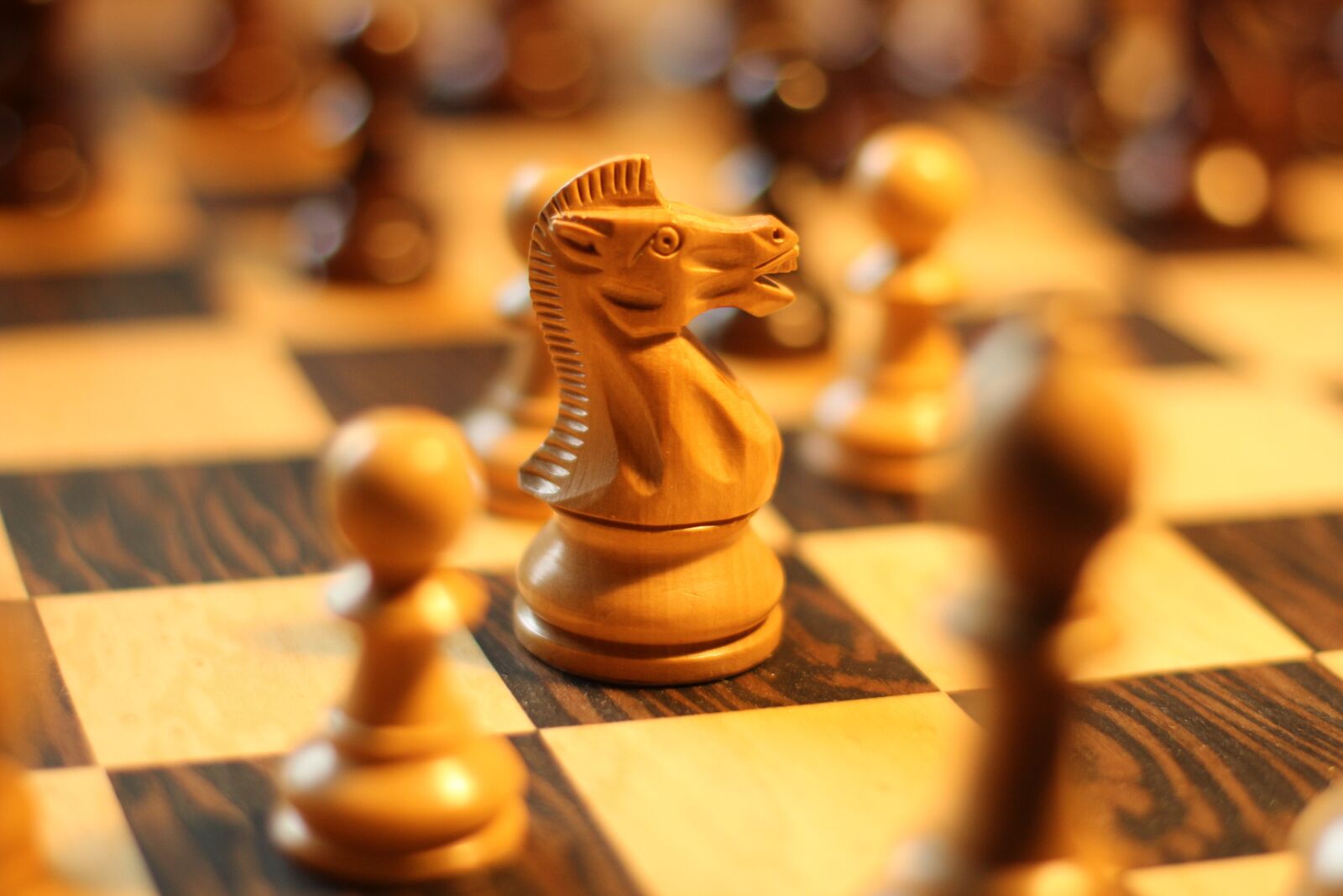 Canon EOS 60D + Canon EF 50mm F1.4 USM sample photo. Chess, springer, chess piece photography