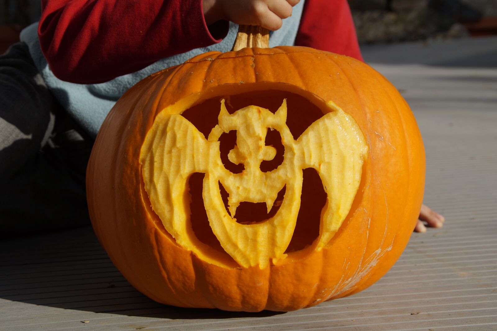Sony SLT-A58 sample photo. Bat, halloween, pumpkin photography