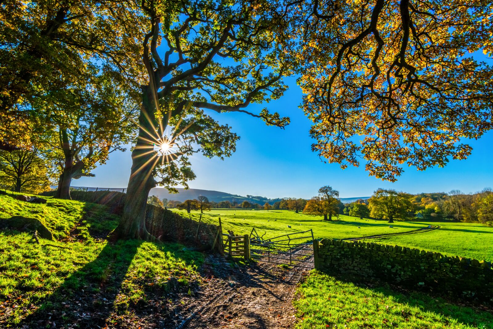 Tokina AT-X Pro 11-16mm F2.8 DX II sample photo. Yorkshire, autumn, sunshine photography