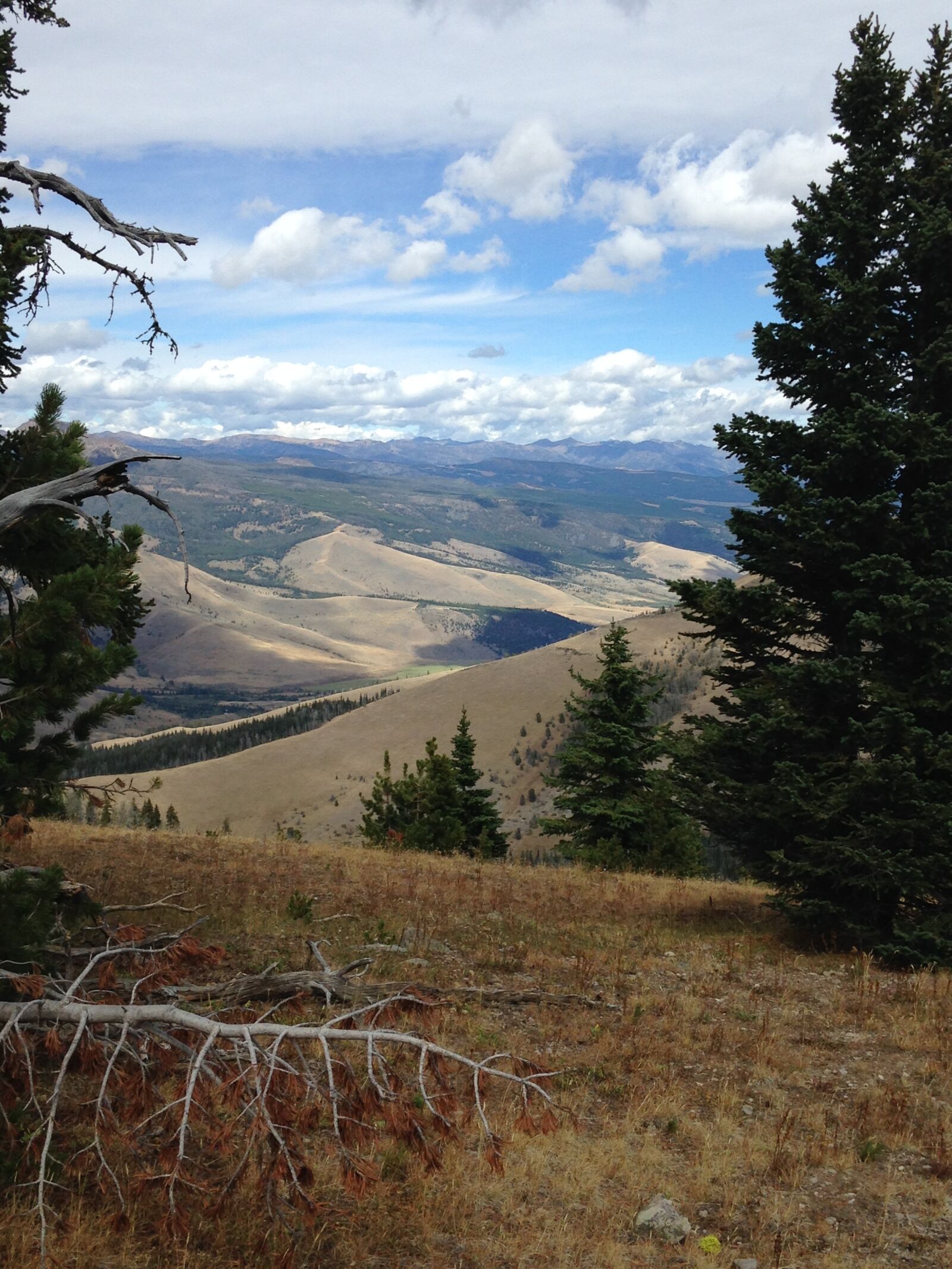 iPhone 5c back camera 4.12mm f/2.4 sample photo. Yellowstone, big horn peak photography