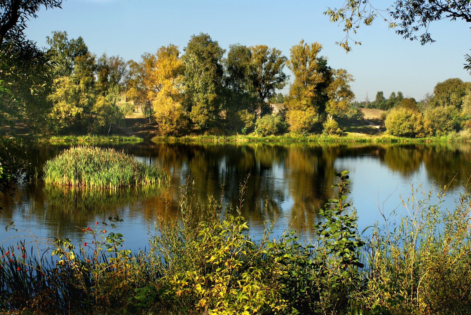 Sony Alpha DSLR-A200 sample photo. Author, skibka, photo photography