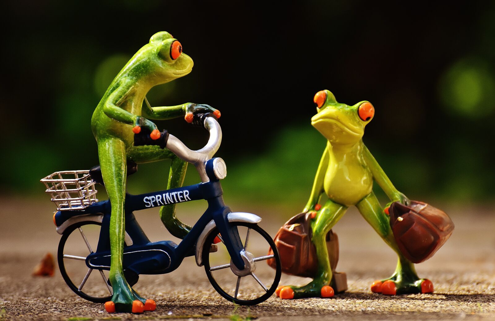 Nikon D7200 sample photo. Frogs, arrive, bike photography