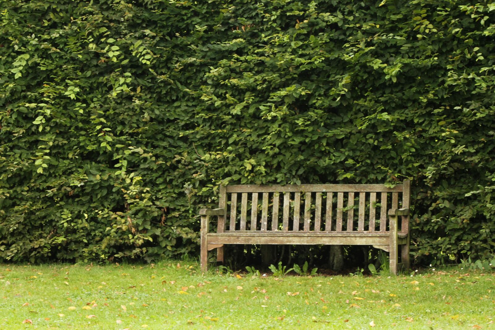 Canon EF 75-300mm f/4-5.6 sample photo. Bench, nature, outdoor photography