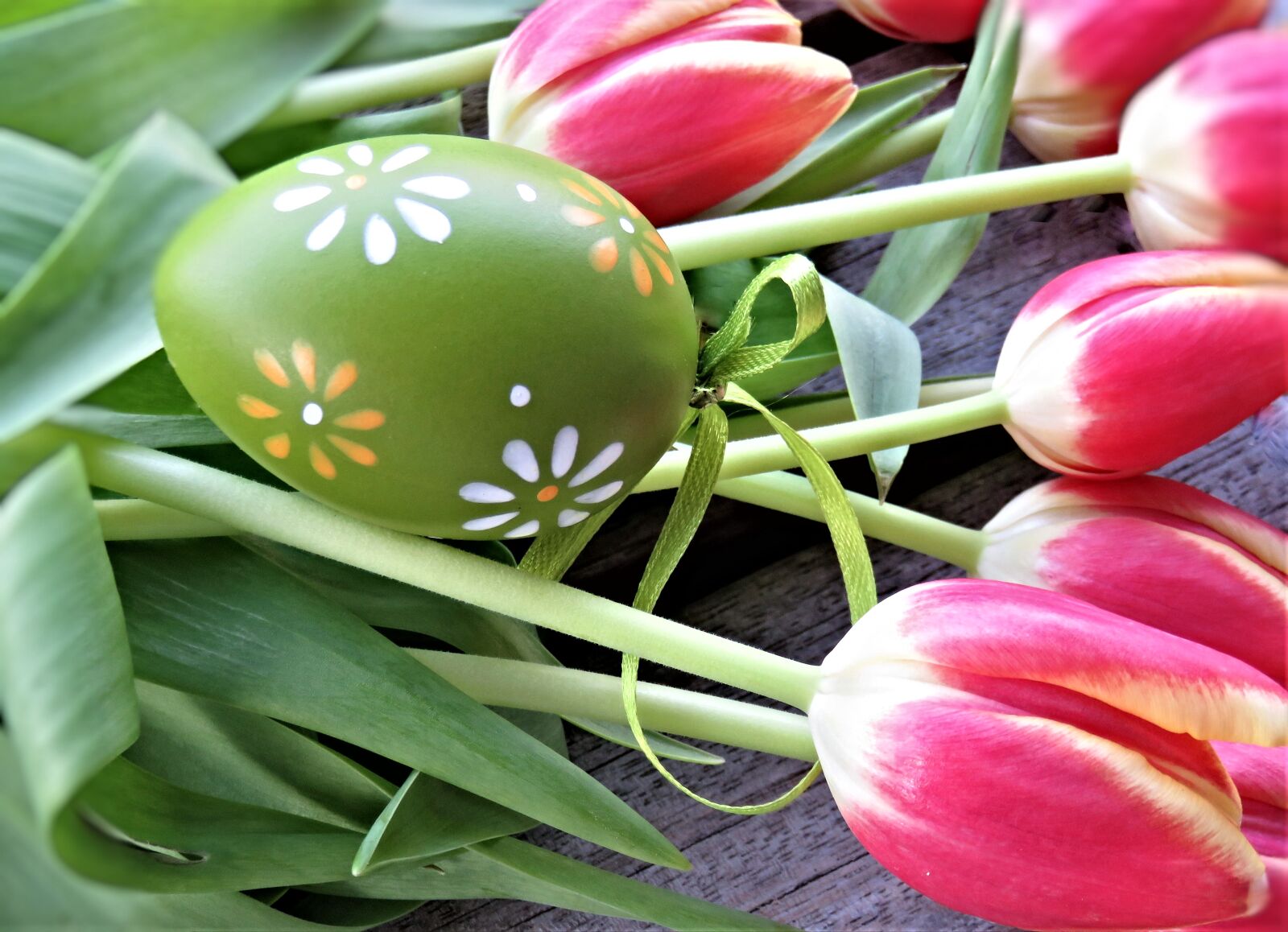 Canon PowerShot SX710 HS sample photo. Tulips, easter egg, flowers photography