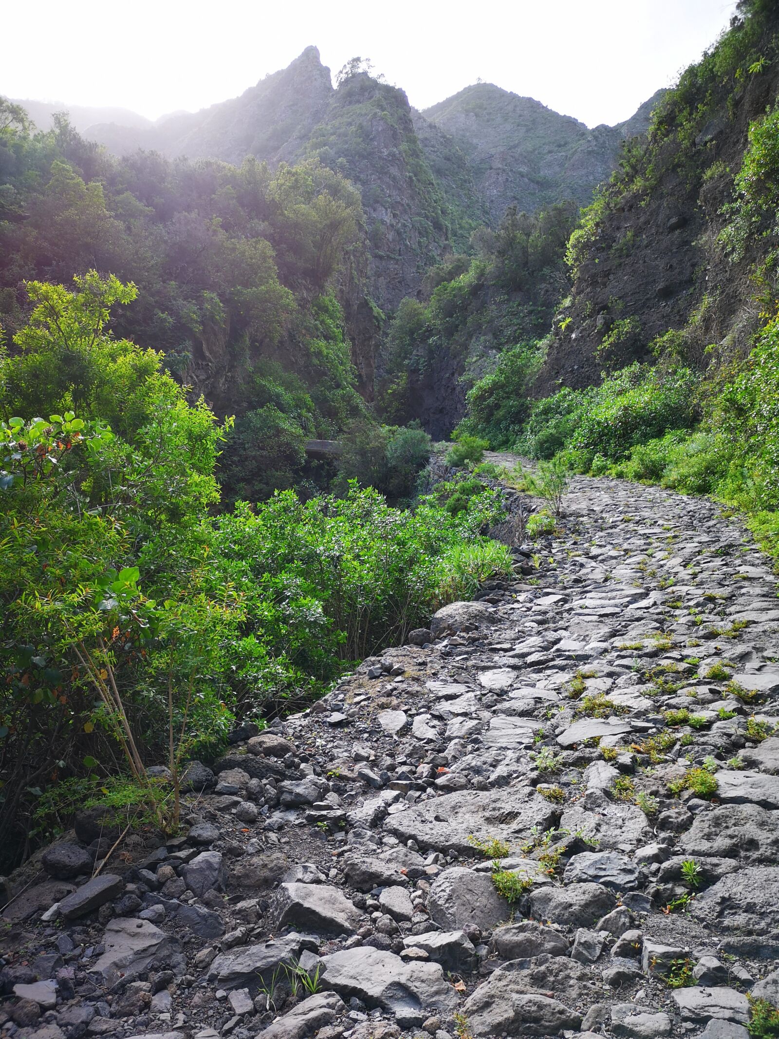 HUAWEI CLT-L09 sample photo. Rocky, path, road photography