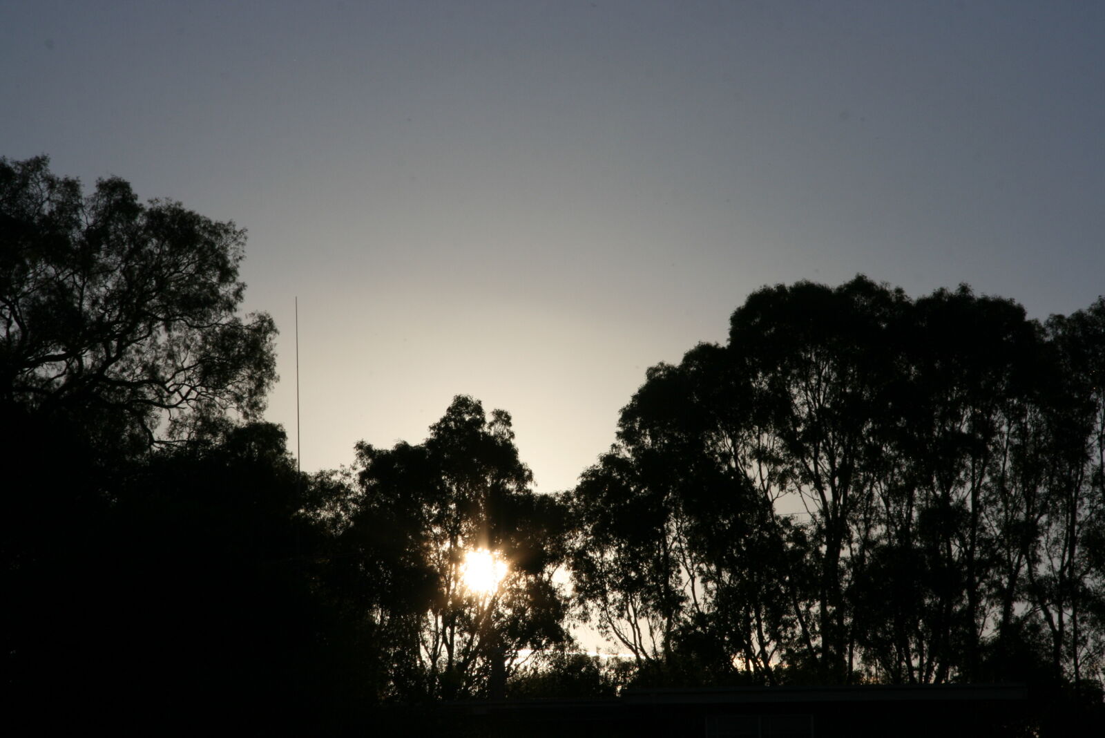 Canon EF-S 17-85mm F4-5.6 IS USM sample photo. Contrast, sunset, trees photography