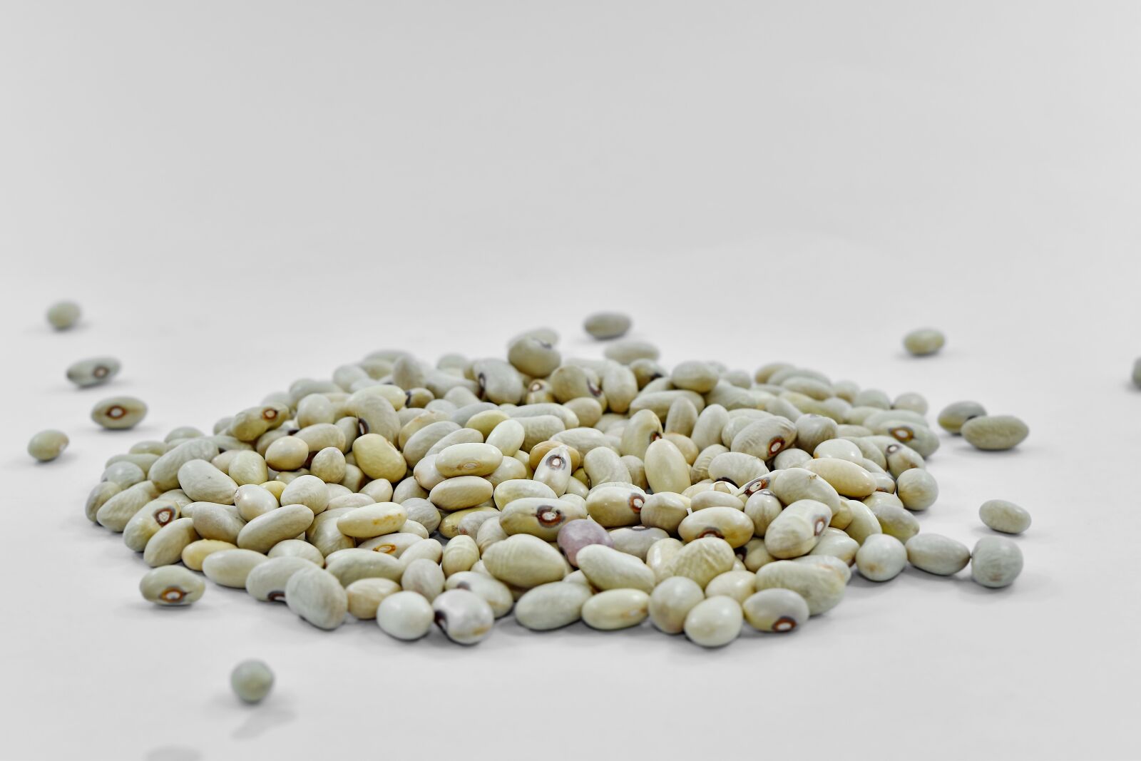 Nikon D5500 sample photo. Kernel, seed, food, vegetable photography