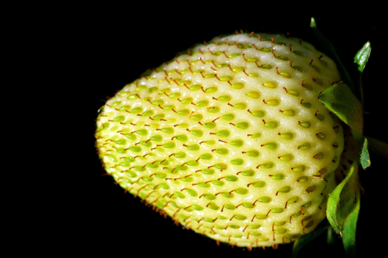 Nikon D3300 sample photo. Fruit, strawberry, food, organic photography