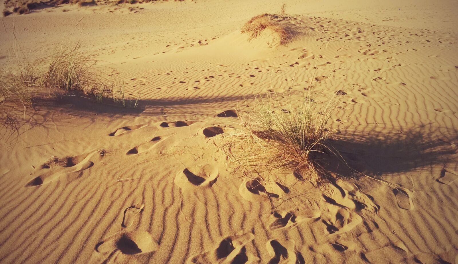 LG Nexus 5 sample photo. Desert, fingerprint, sardinia photography