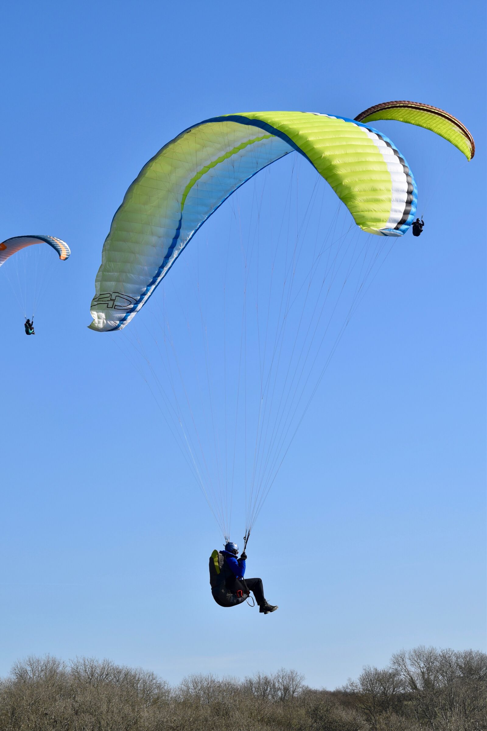 Nikon D5600 sample photo. Paragliding, paraglider, sails photography