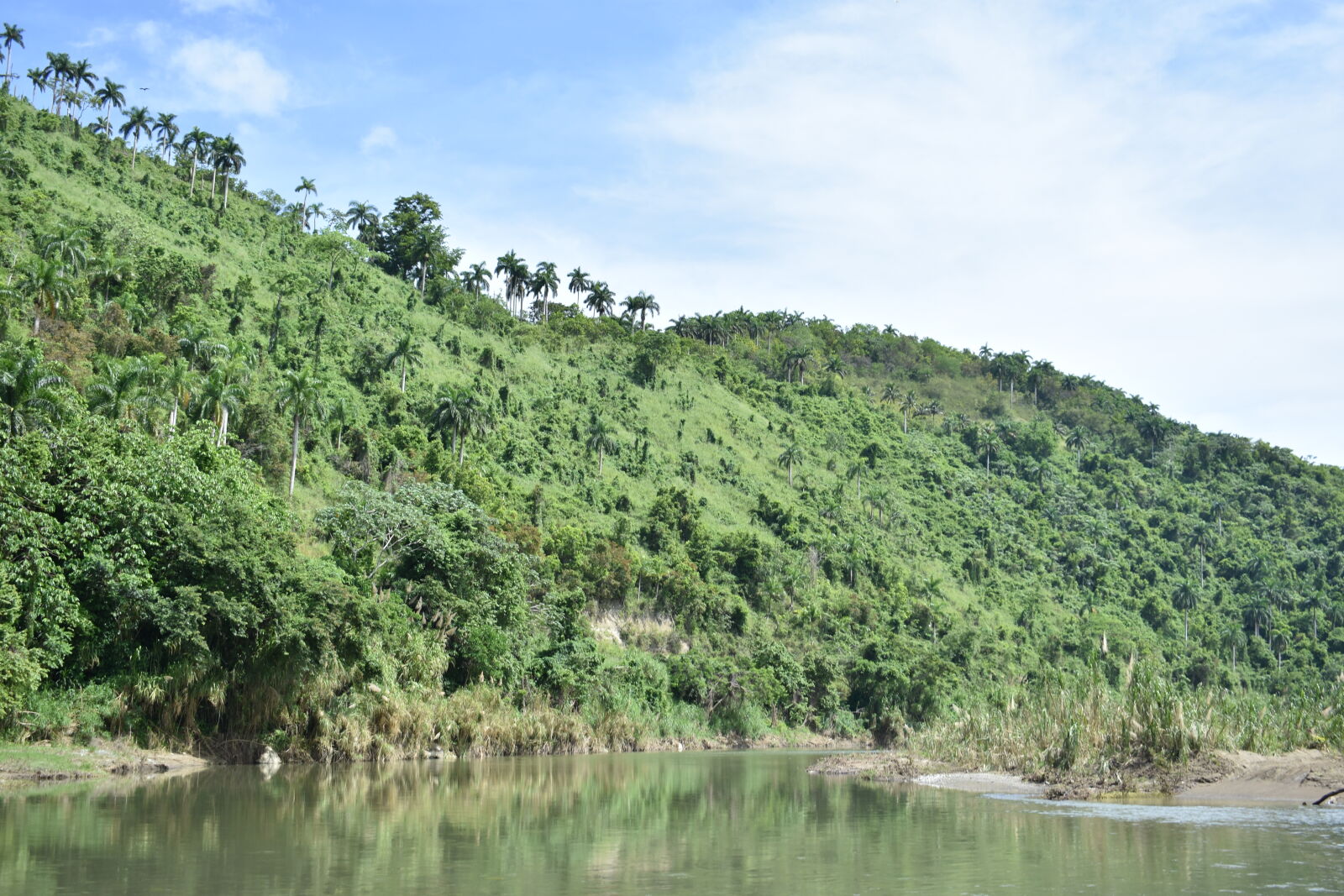 Nikon AF-P DX Nikkor 18-55mm F3.5-5.6G sample photo. Cuba, driver, hillside, tropical photography