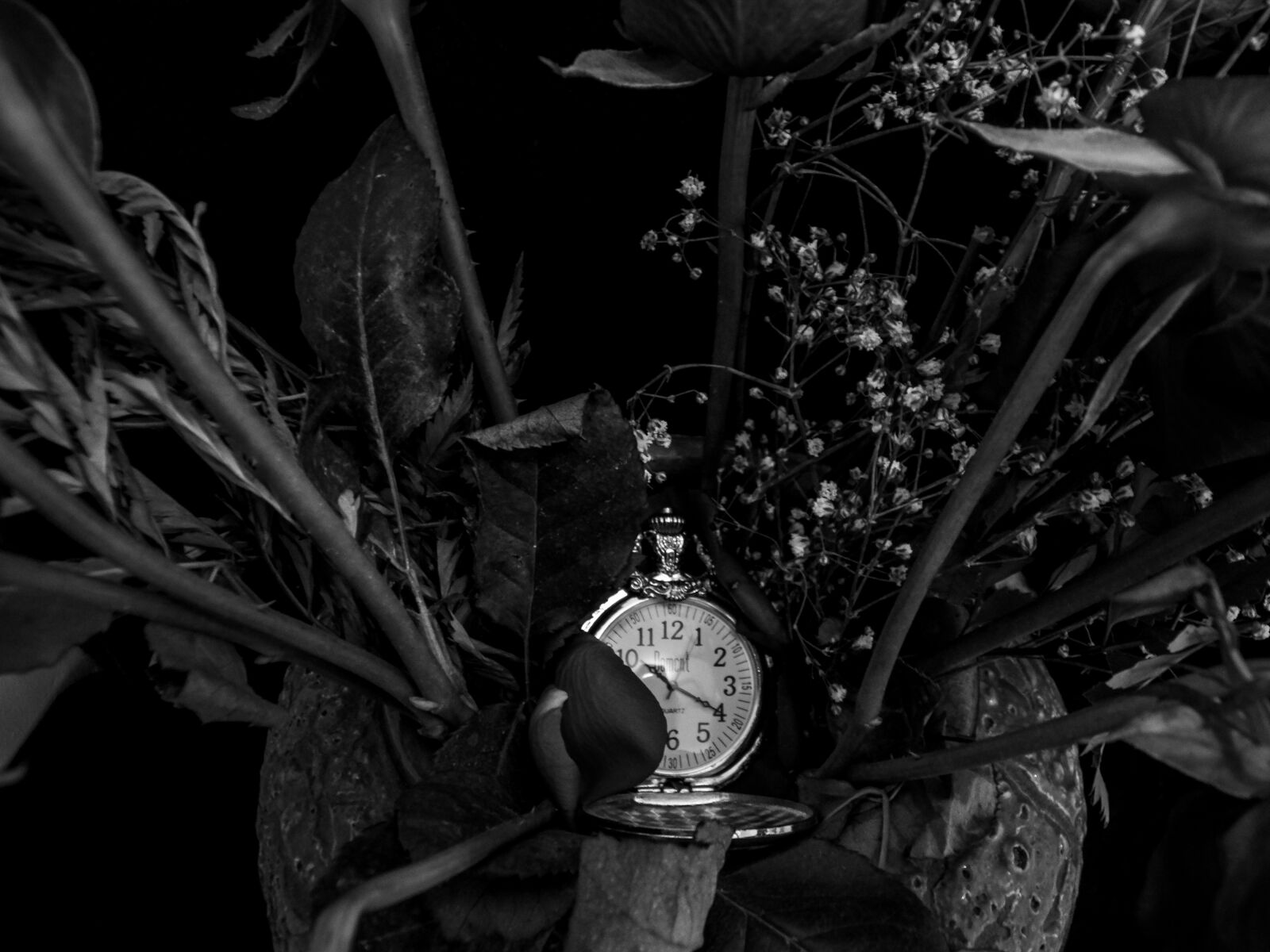 Kodak EasyShare Z990 (EasyShare Max) sample photo. Roses, relegio, time photography