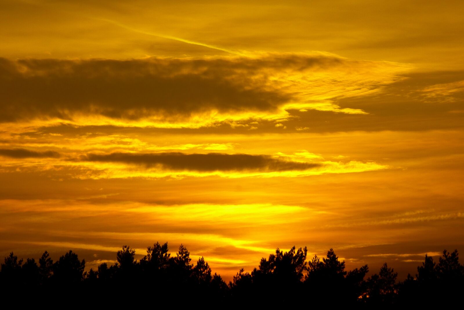 Panasonic Lumix DMC-FZ150 sample photo. Sunset, colorful, sky photography