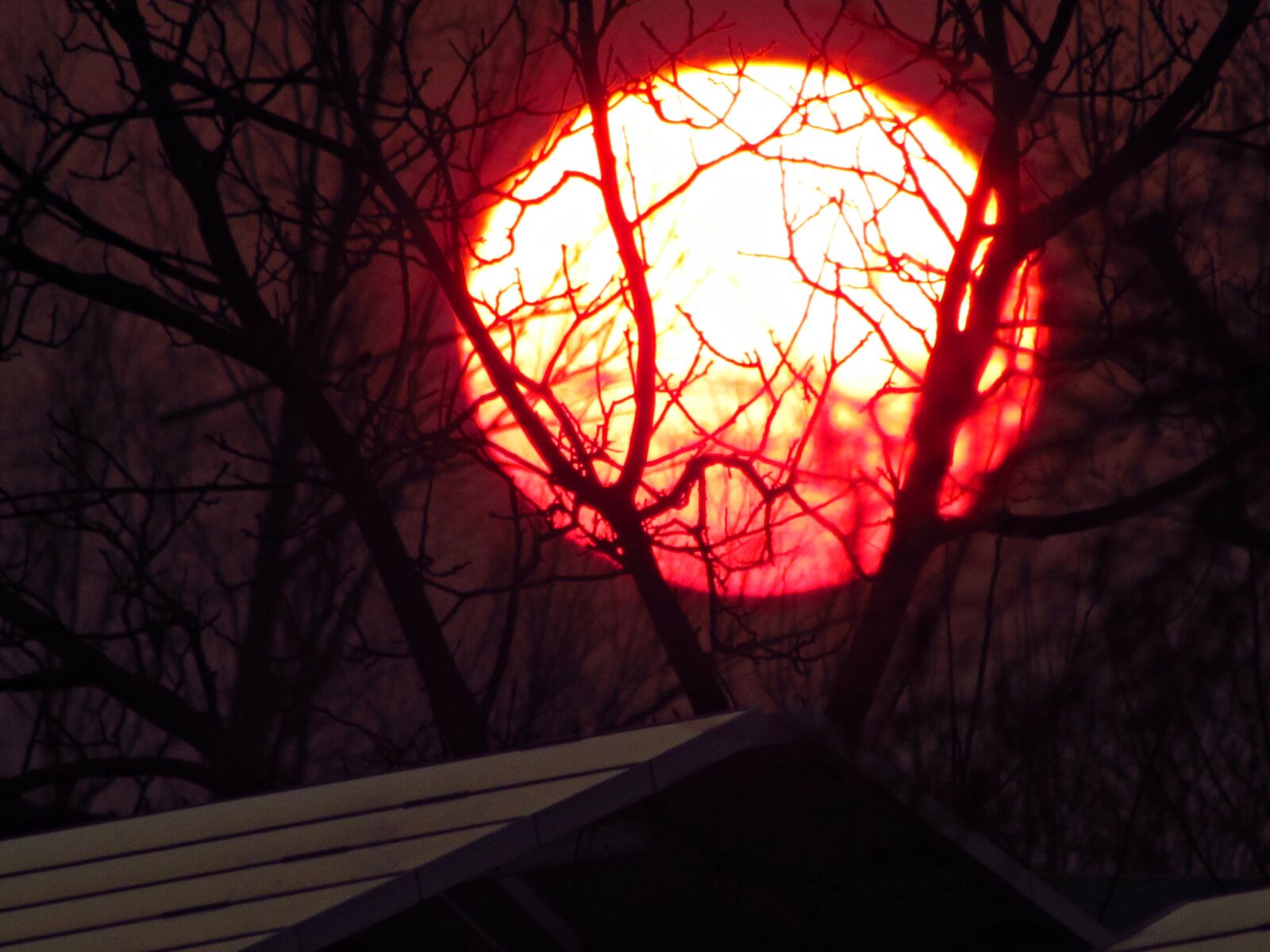 Canon PowerShot SX30 IS sample photo. The sun, west, red photography