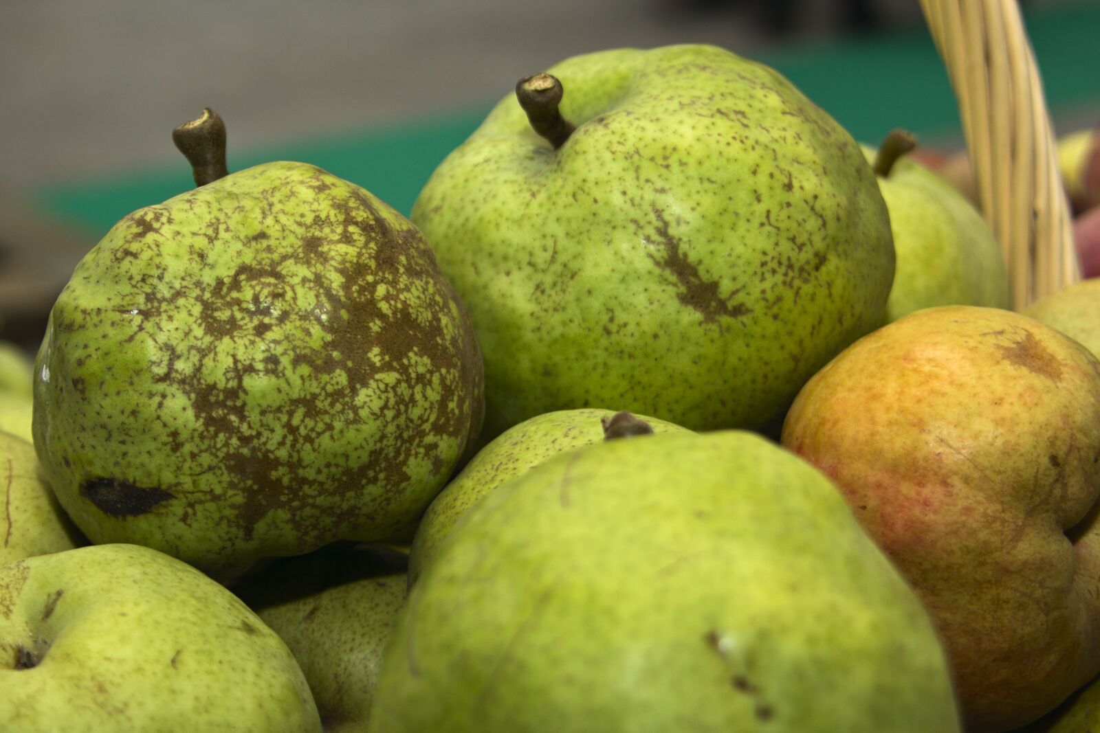 Canon EOS 600D (Rebel EOS T3i / EOS Kiss X5) sample photo. Apple, food, healthy photography