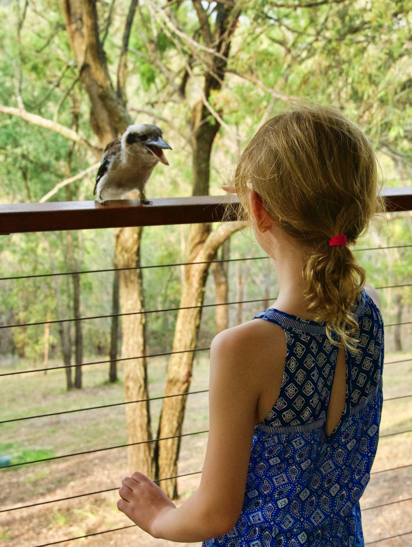 Sony E 18-135mm F3.5-5.6 OSS sample photo. Kookaburra, child, cute photography