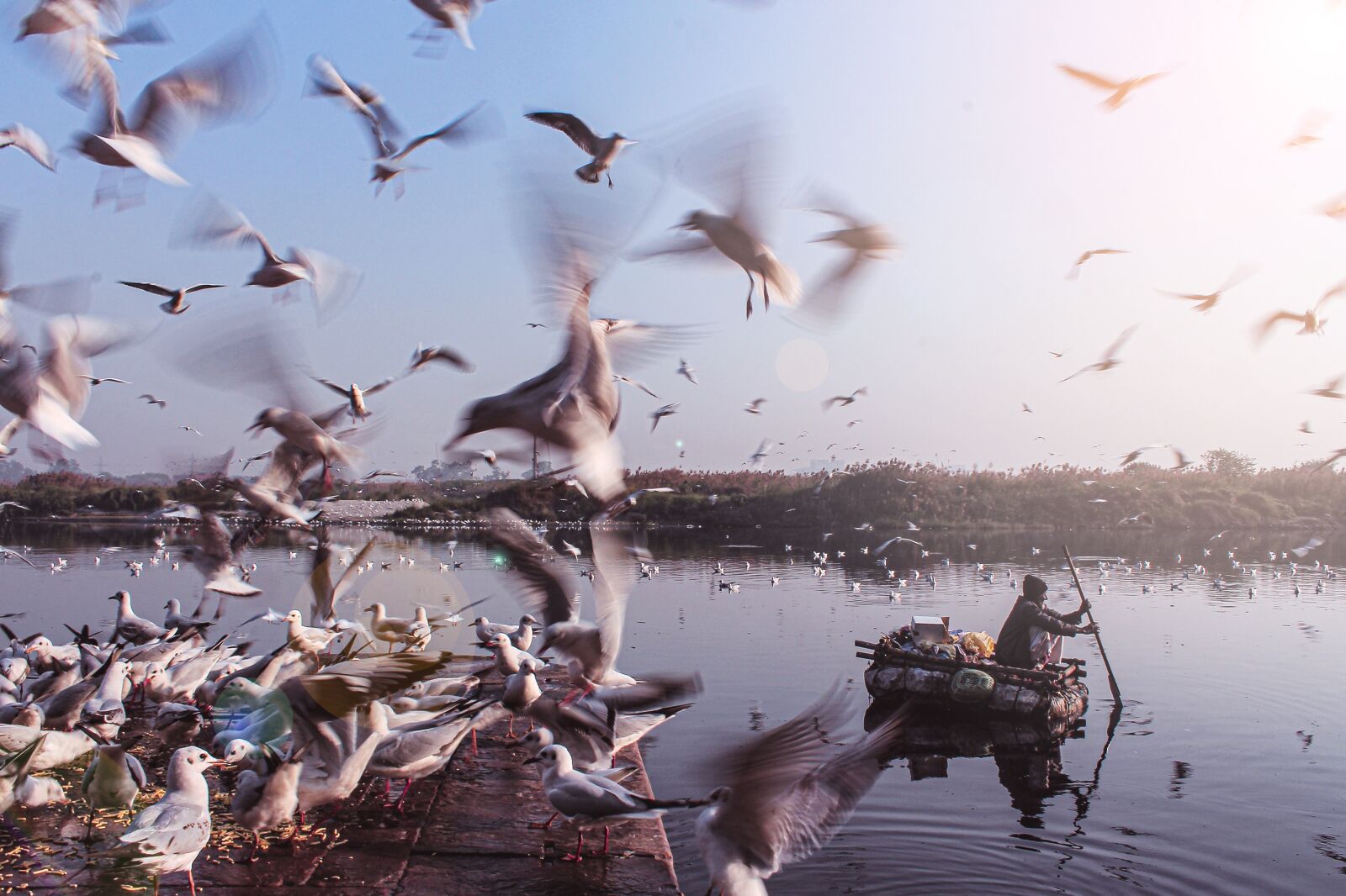 Canon EOS 700D (EOS Rebel T5i / EOS Kiss X7i) sample photo. Birds, river, boat photography