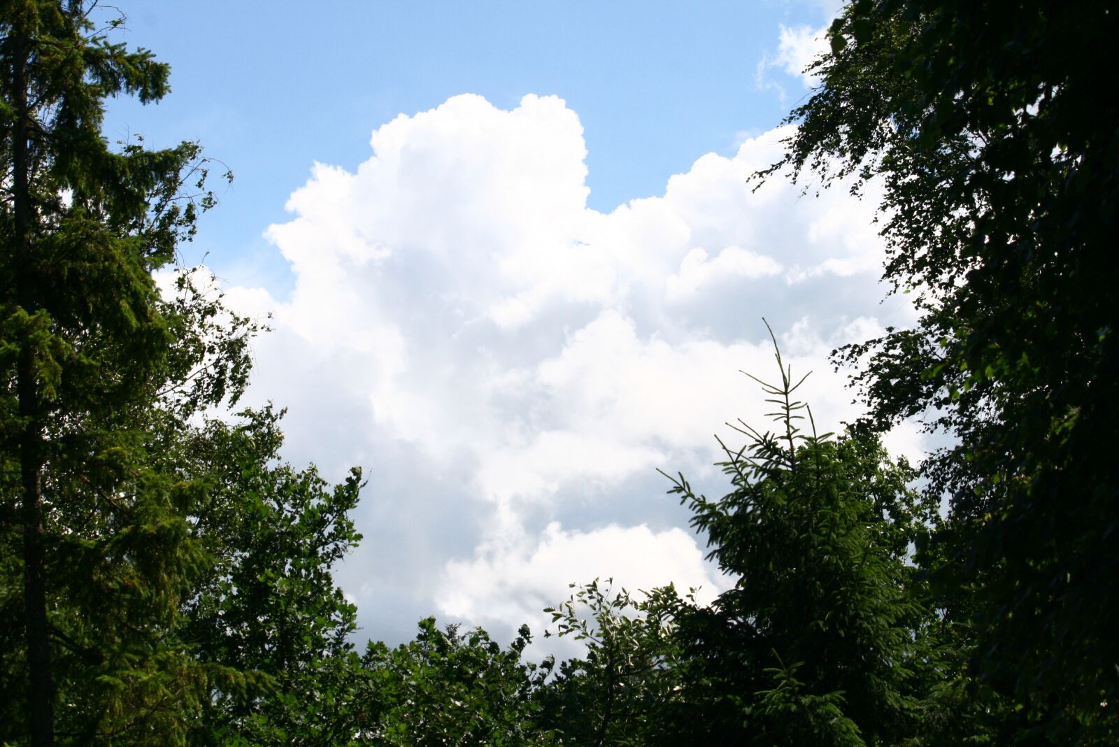 Canon EOS 400D (EOS Digital Rebel XTi / EOS Kiss Digital X) sample photo. Cloud, sky, blue sky photography