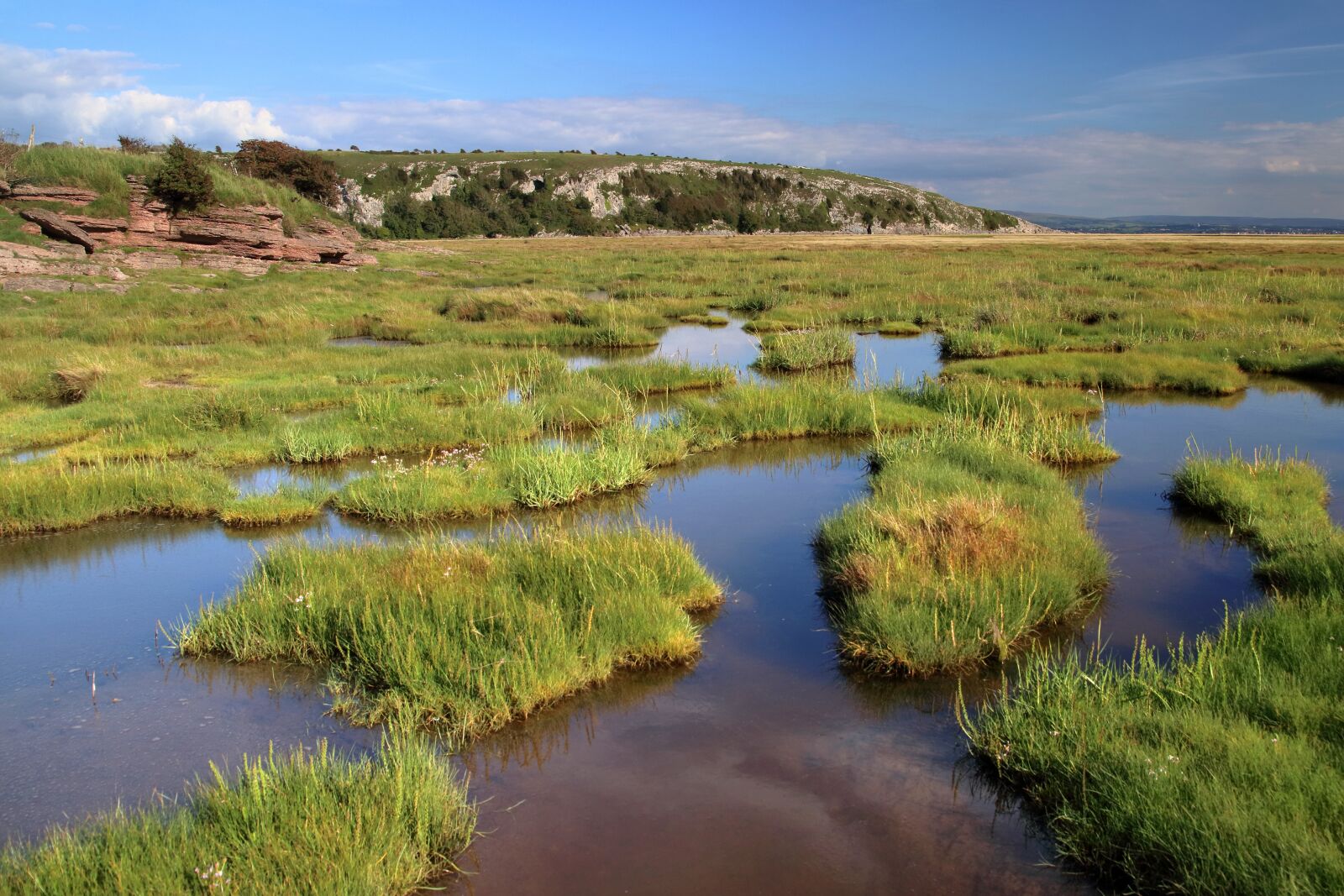Canon EOS 80D sample photo. Salt marsh, damp, wetland photography