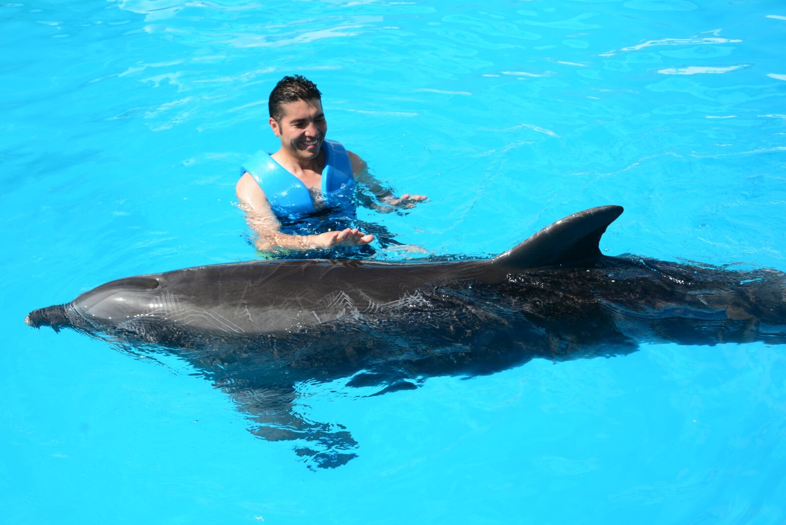 Nikon D5200 sample photo. Dolphins, marine life, fish photography