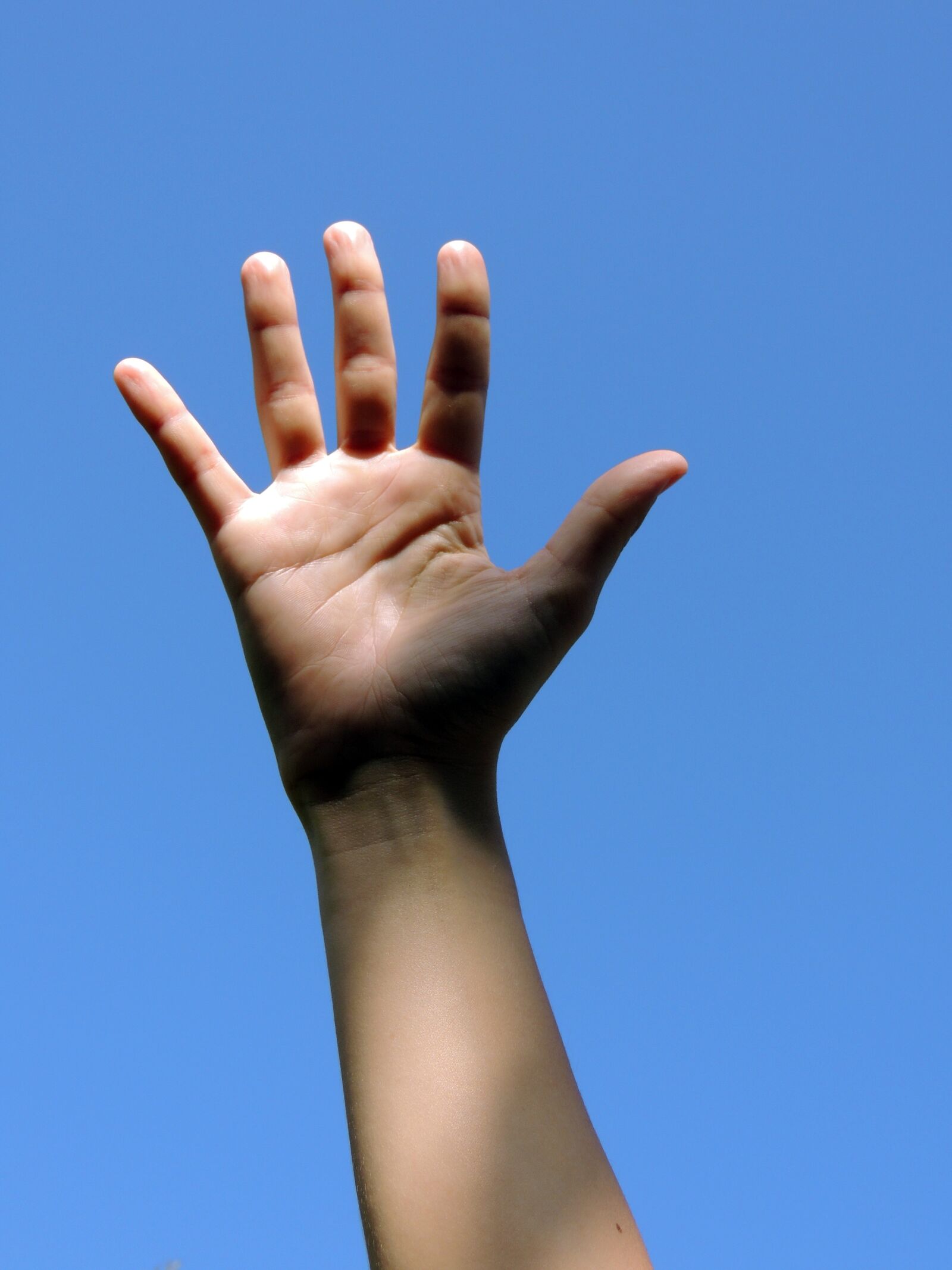 Nikon Coolpix P510 sample photo. Hand, body, human photography