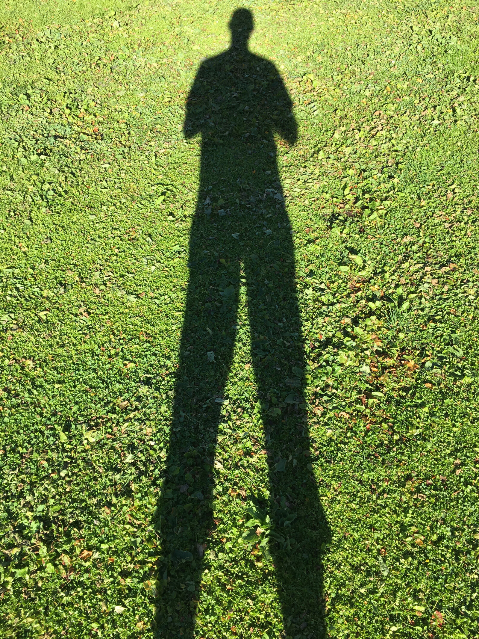 Apple iPhone 6s sample photo. Shadow photography