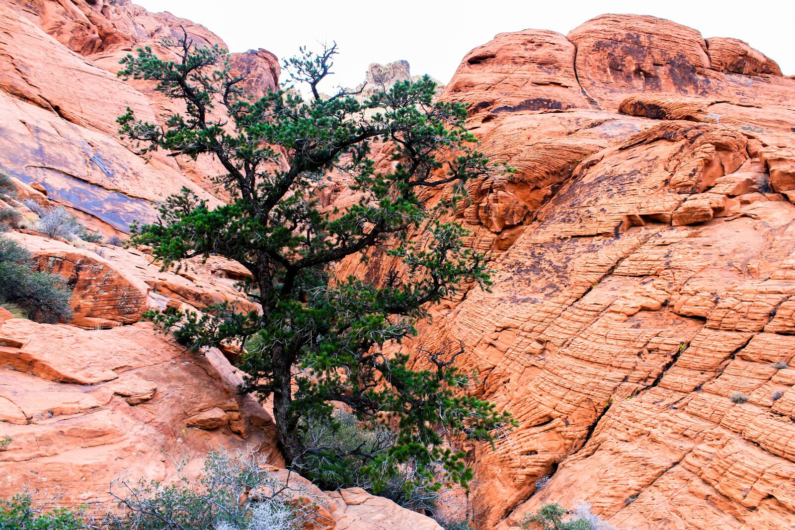 Canon EOS 1100D (EOS Rebel T3 / EOS Kiss X50) sample photo. Utah, red rocks, red photography