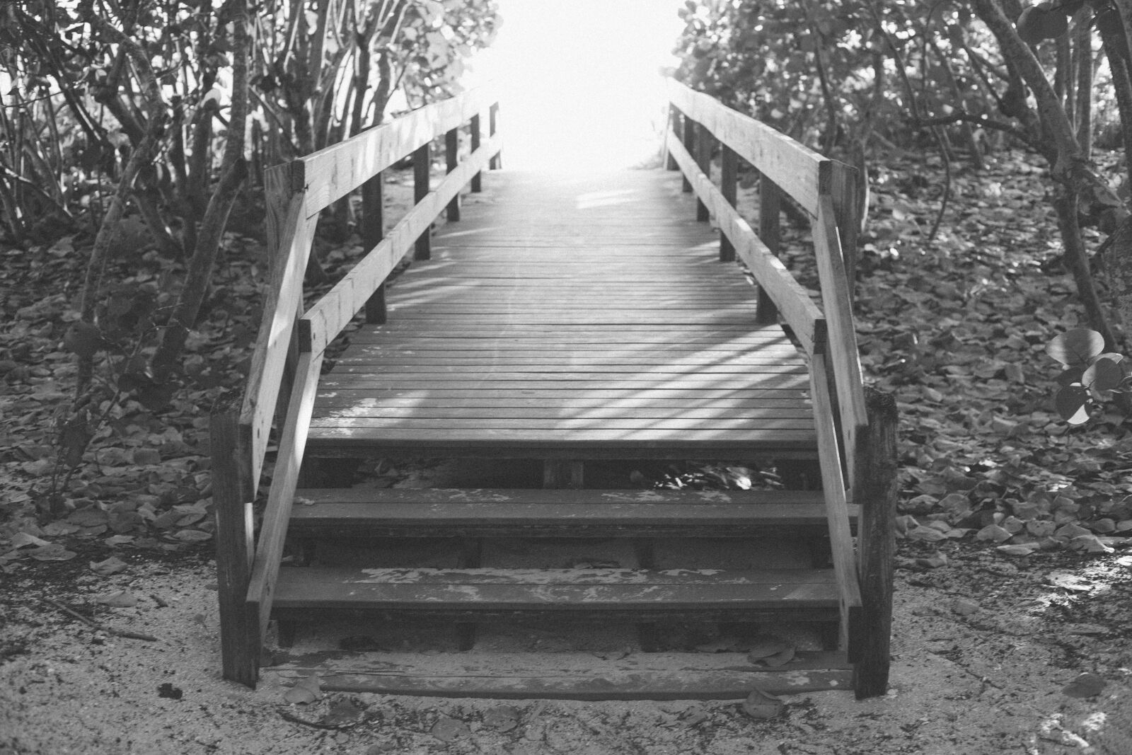 Canon EOS 6D + Canon EF 50mm F1.8 STM sample photo. Black, and, white, boardwalk photography