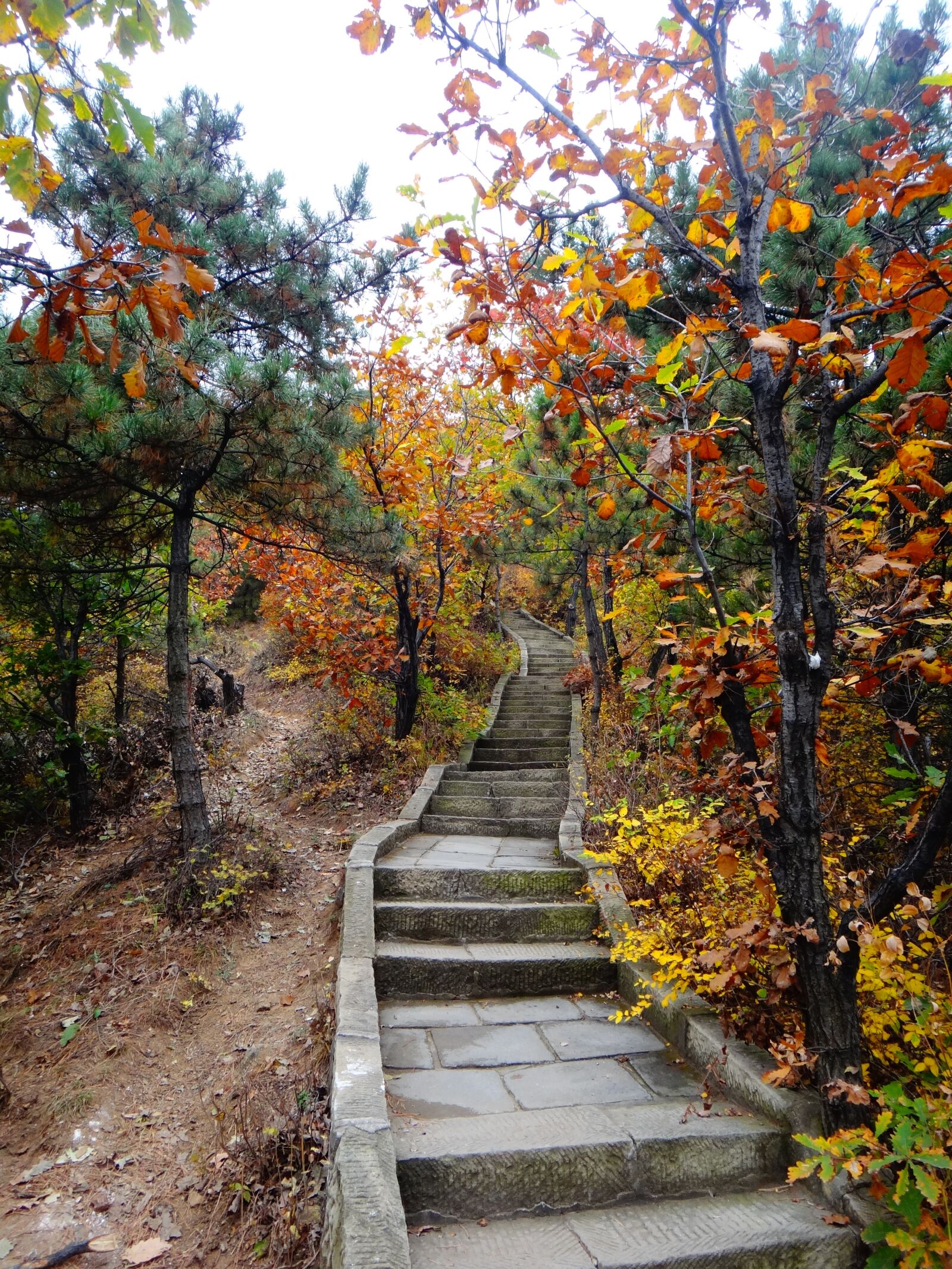 Sony DSC-TX20 sample photo. China, stairs, autumn photography